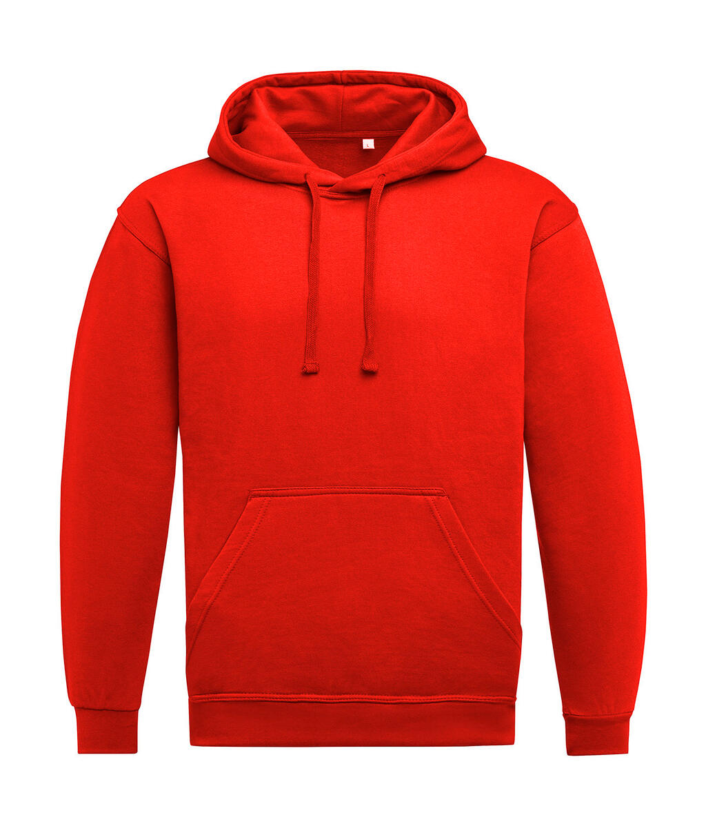 Unisex Hoodie imagen 1