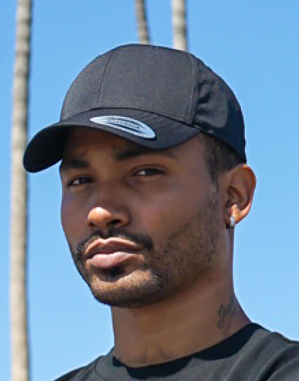 Low Profile Organic Cotton Cap imagen 1