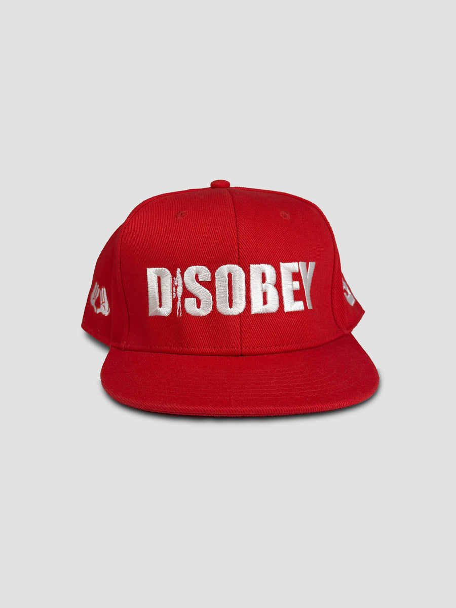 TheGoodDecisions work project