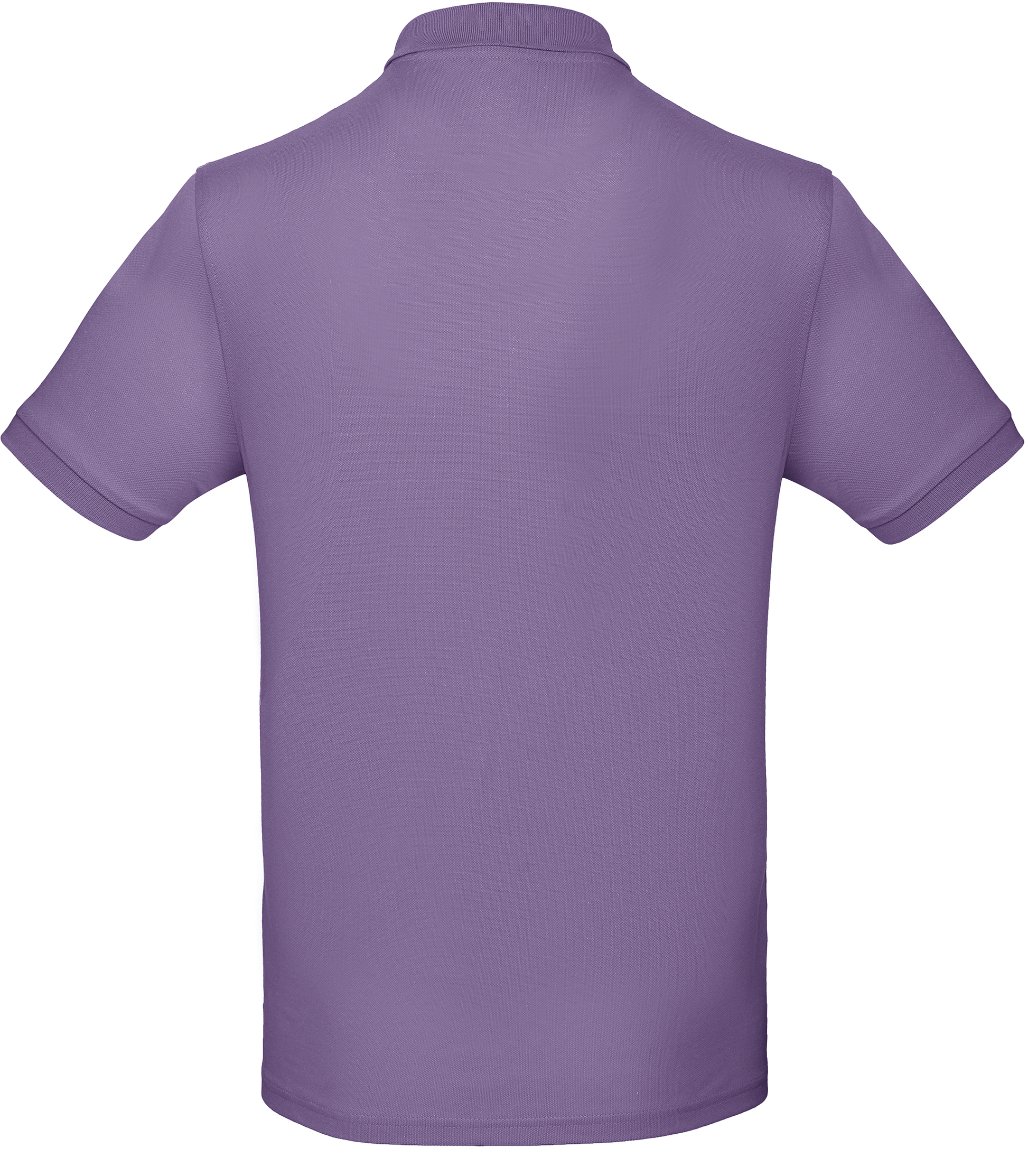 GDTXCGPM430 Millennial Lilac BACK
