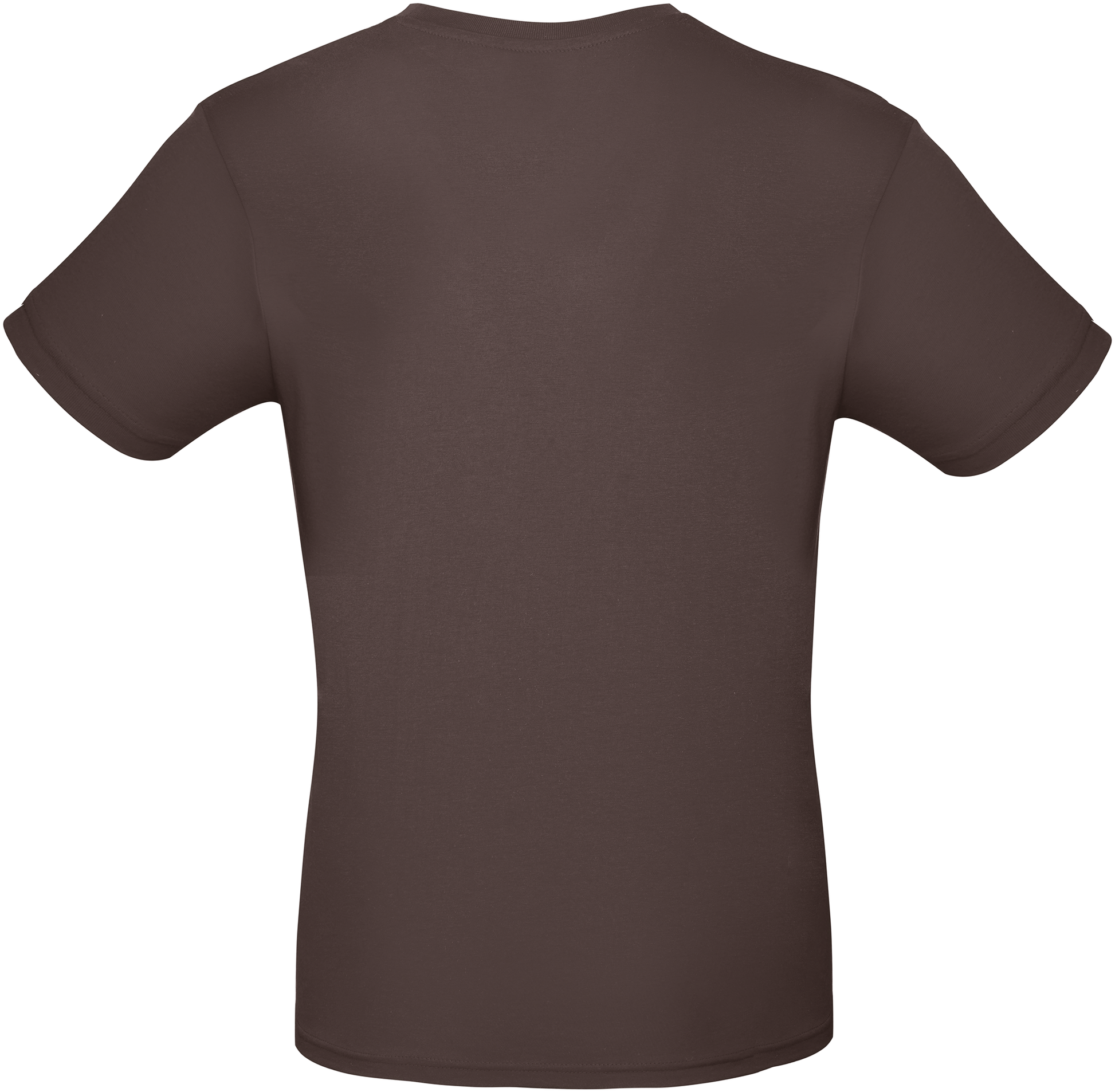GDTXCGTU01T Bear Brown BACK