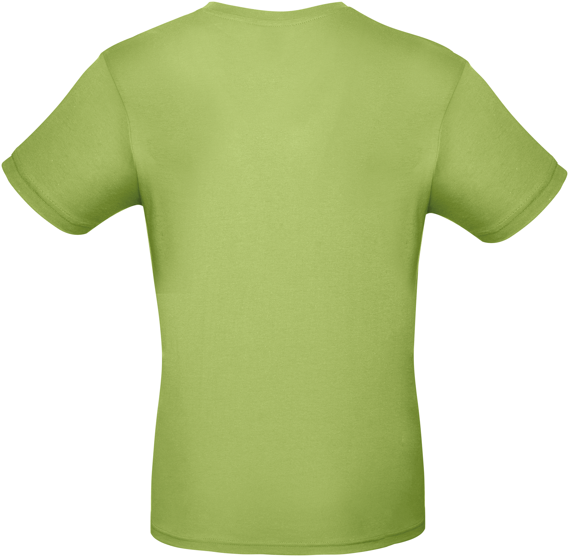GDTXCGTU01T Pistachio BACK
