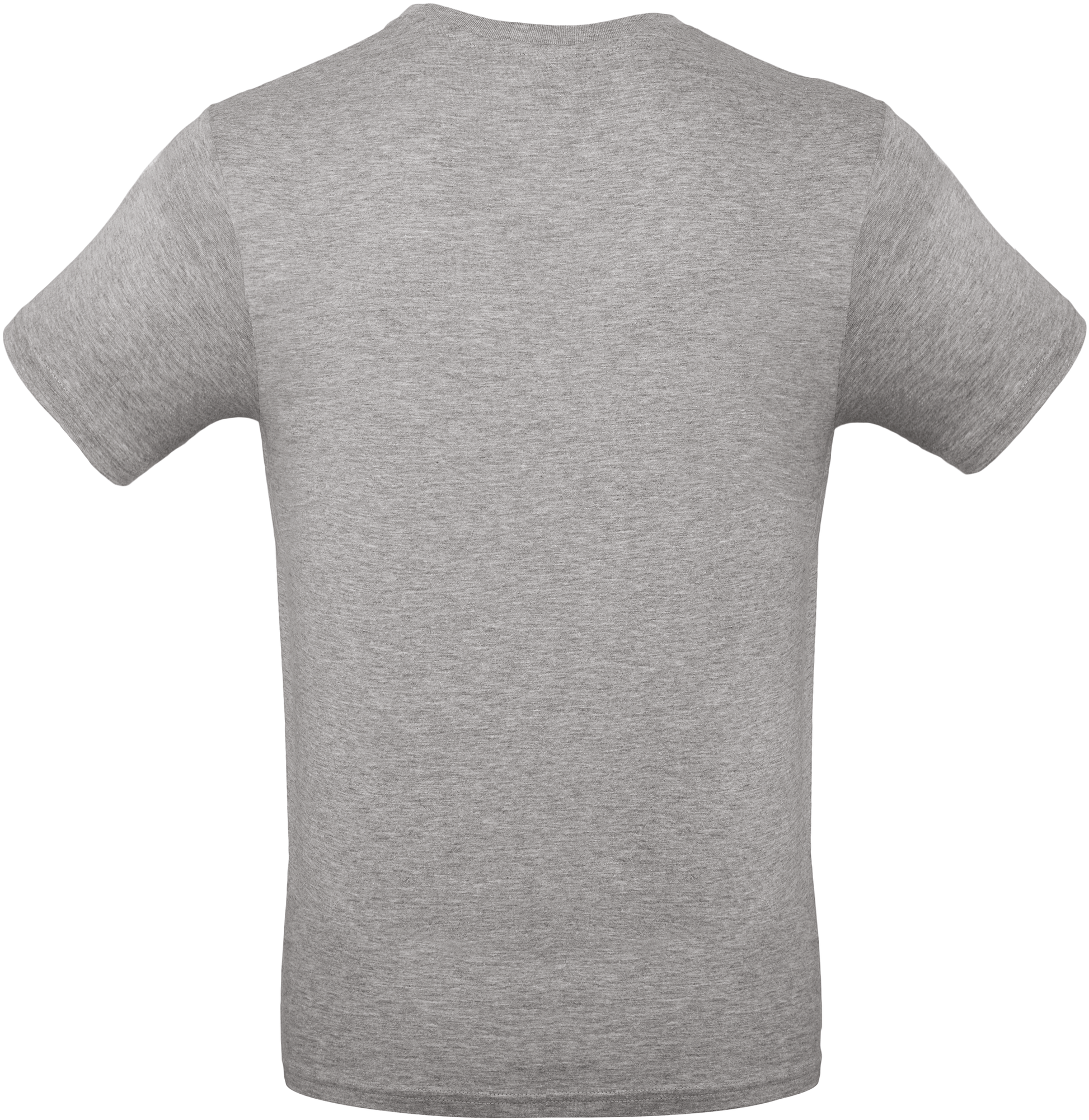 GDTXCGTU01T Sport Grey BACK