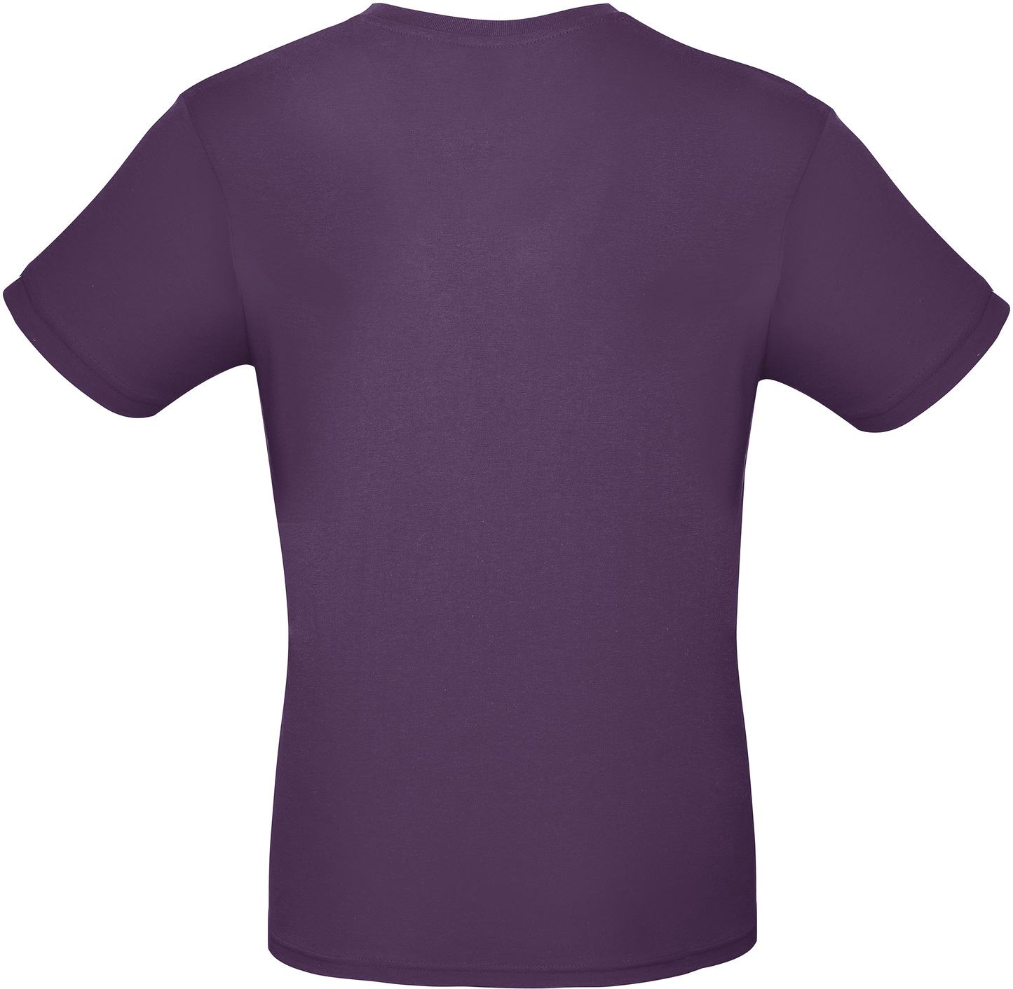 GDTXCGTU01T Urban Purple BACK
