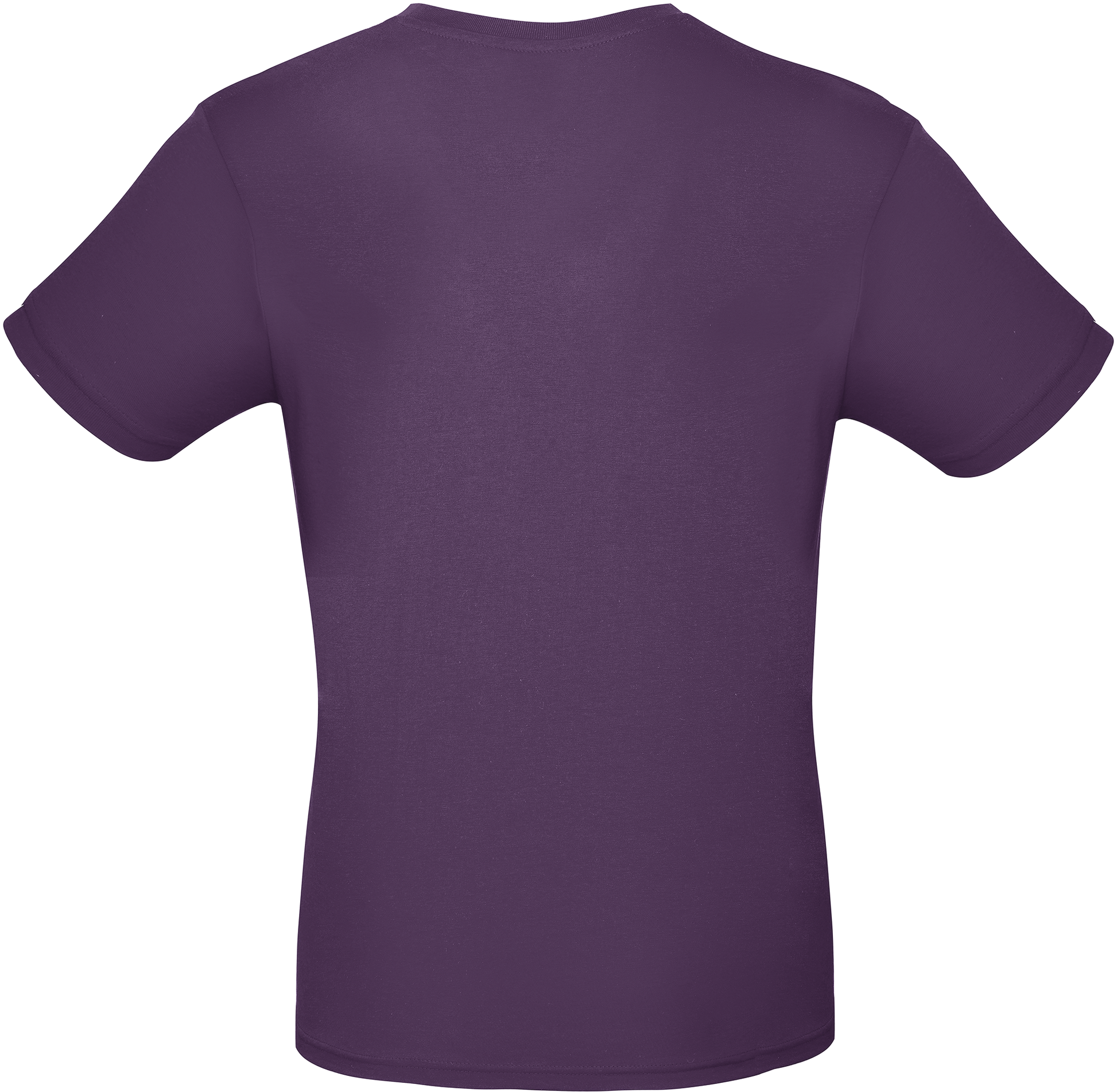 GDTXCGTU01T Urban Purple BACK