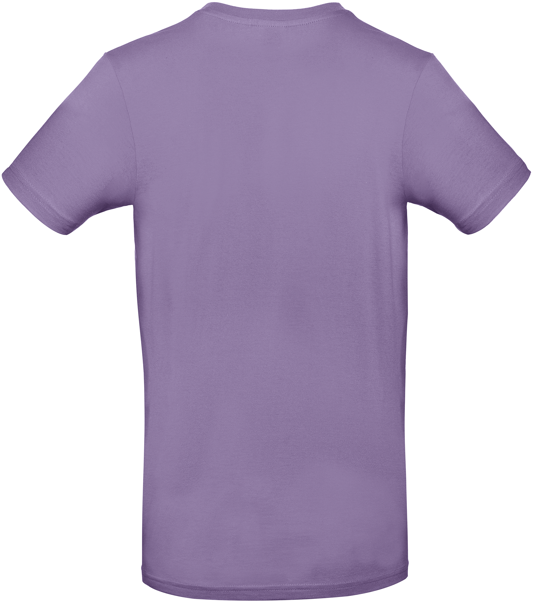 GDTXCGTU03T Millennial Lilac BACK