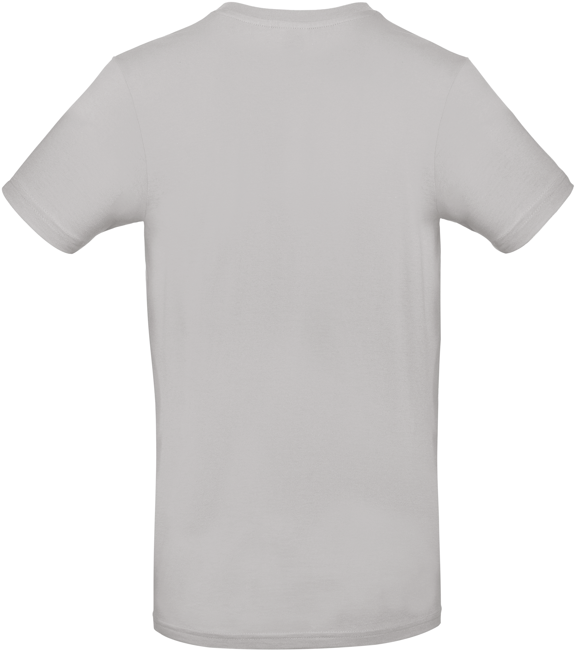 GDTXCGTU03T Pacific Grey BACK