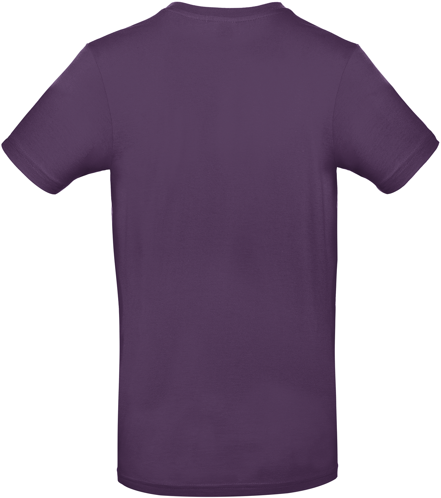 GDTXCGTU03T Urban Purple BACK