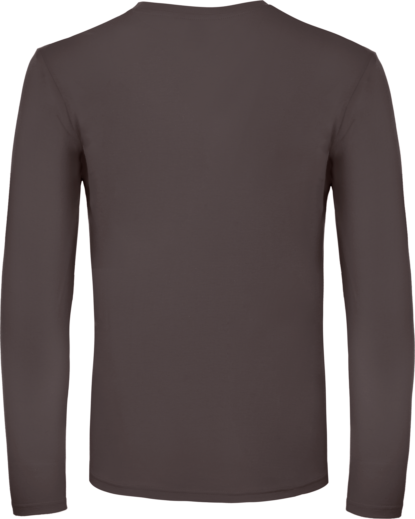 GDTXCGTU05T Bear Brown BACK