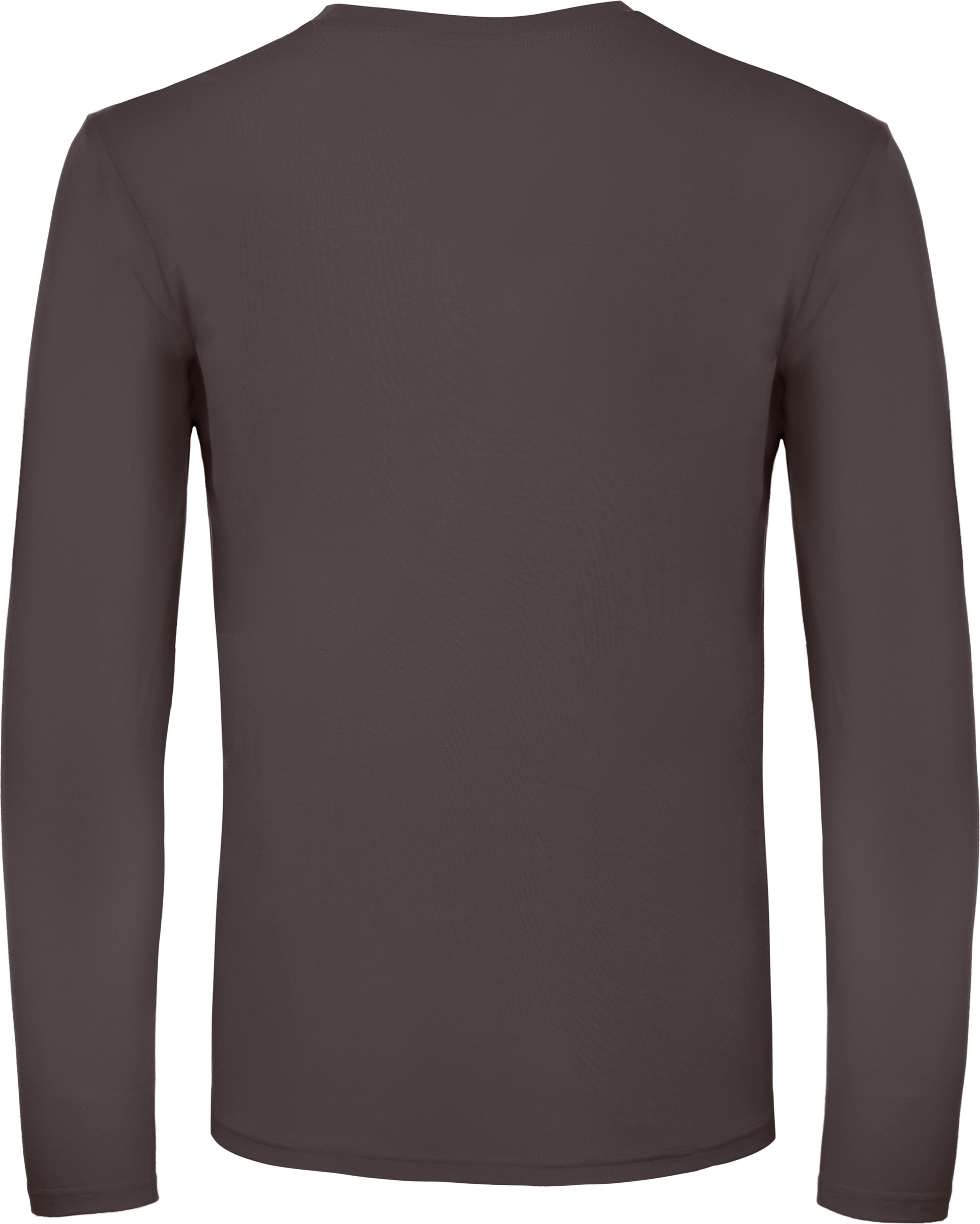 GDTXCGTU05T Bear Brown BACK