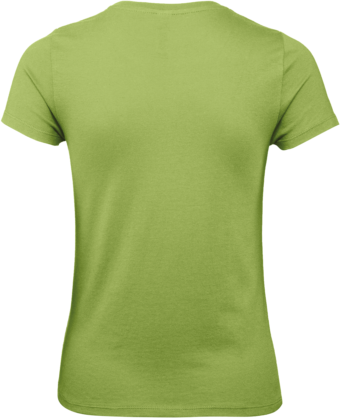 GDTXCGTW02T Pistachio BACK