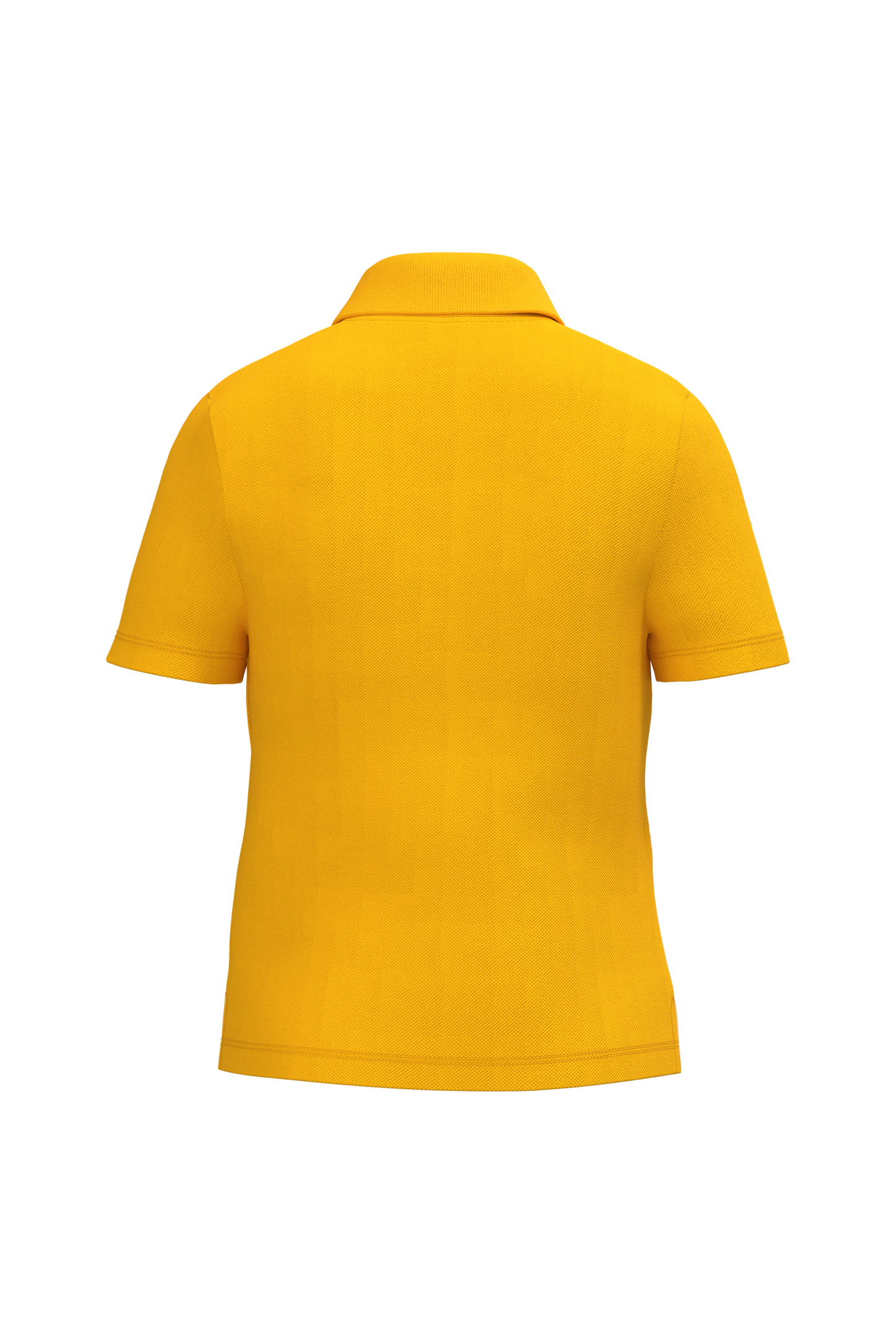 GDTXIB297 Ideal Gold BACK