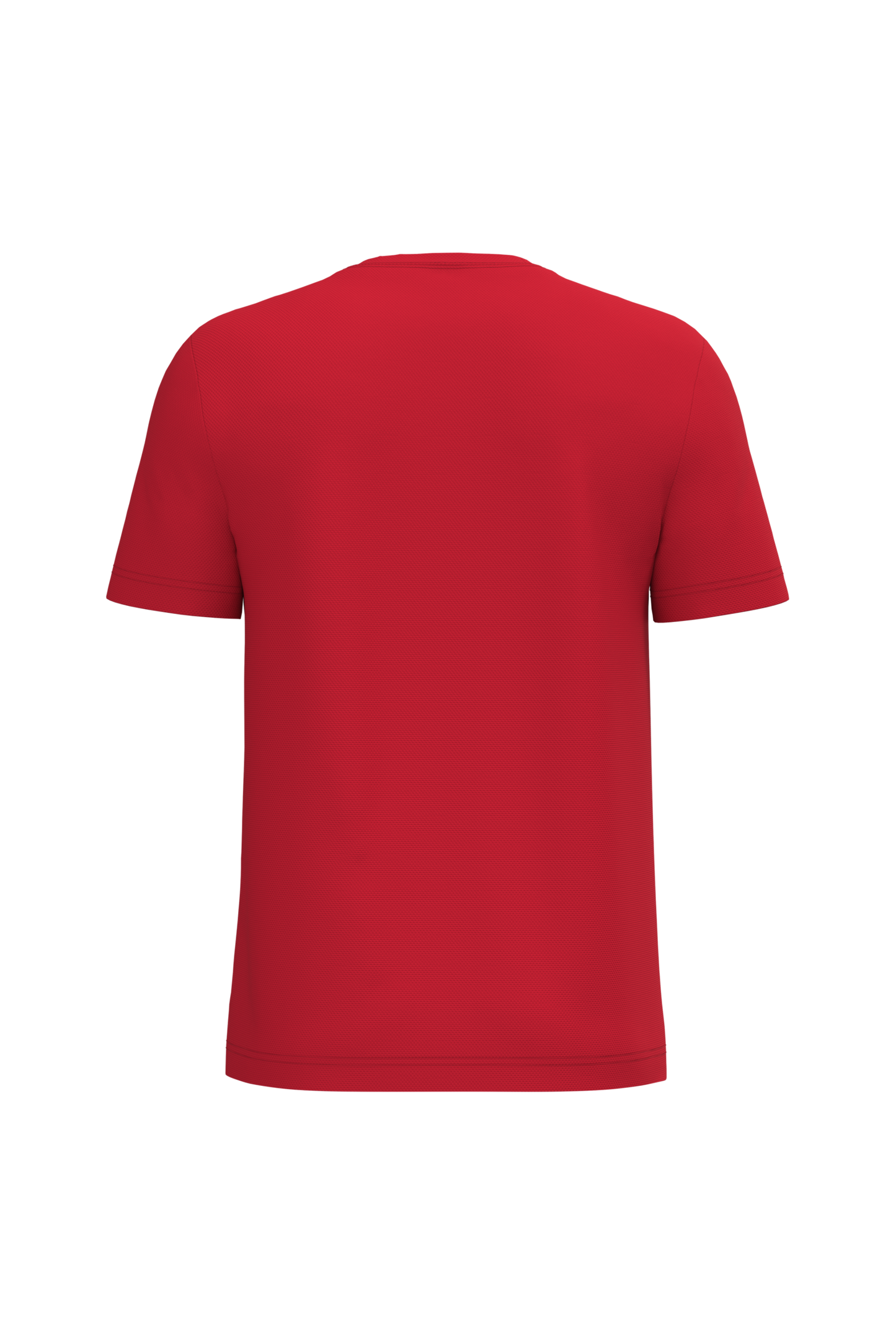 GDTXIB300 Ideal Red BACK