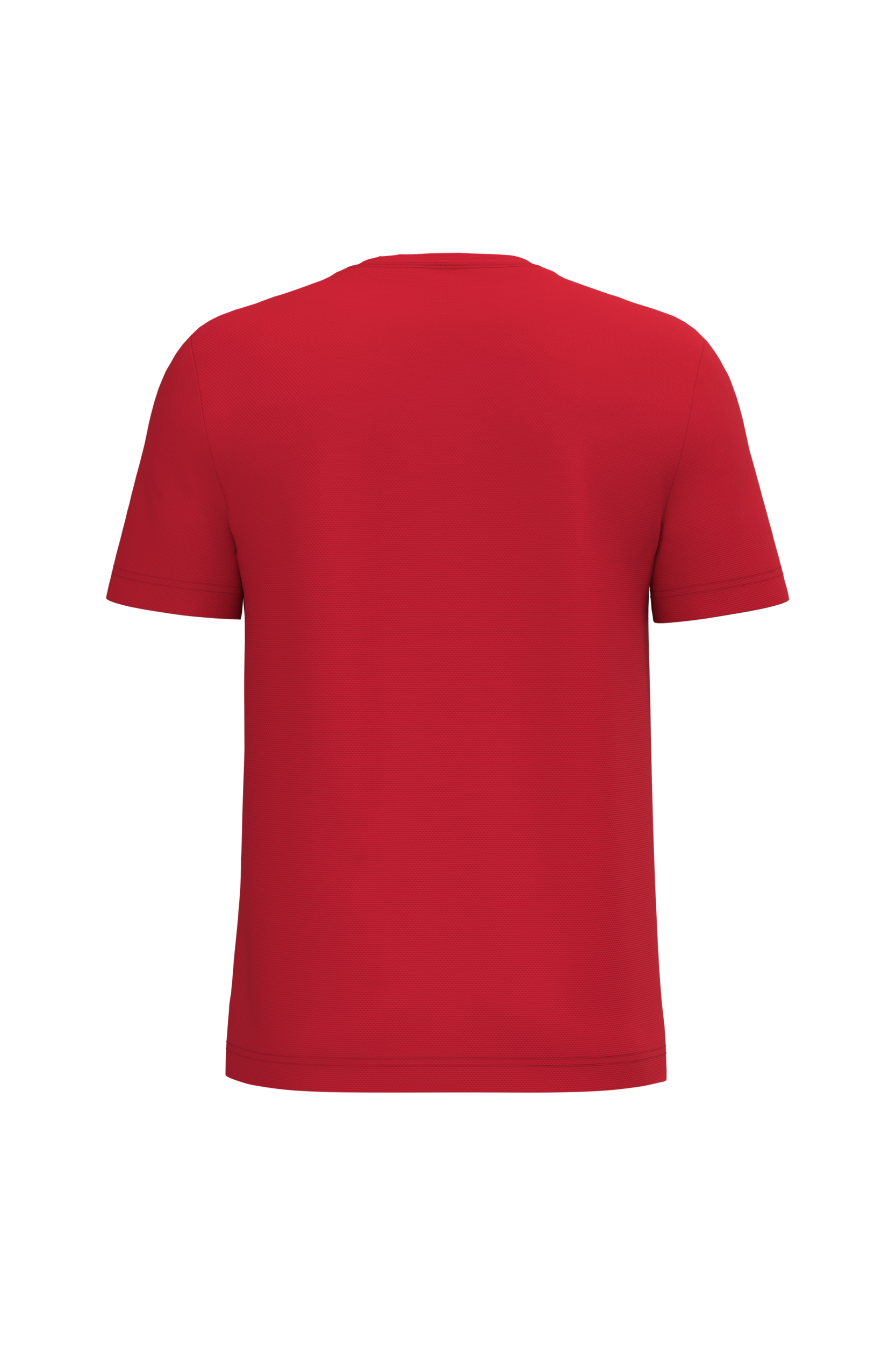 GDTXIB300 Ideal Red BACK