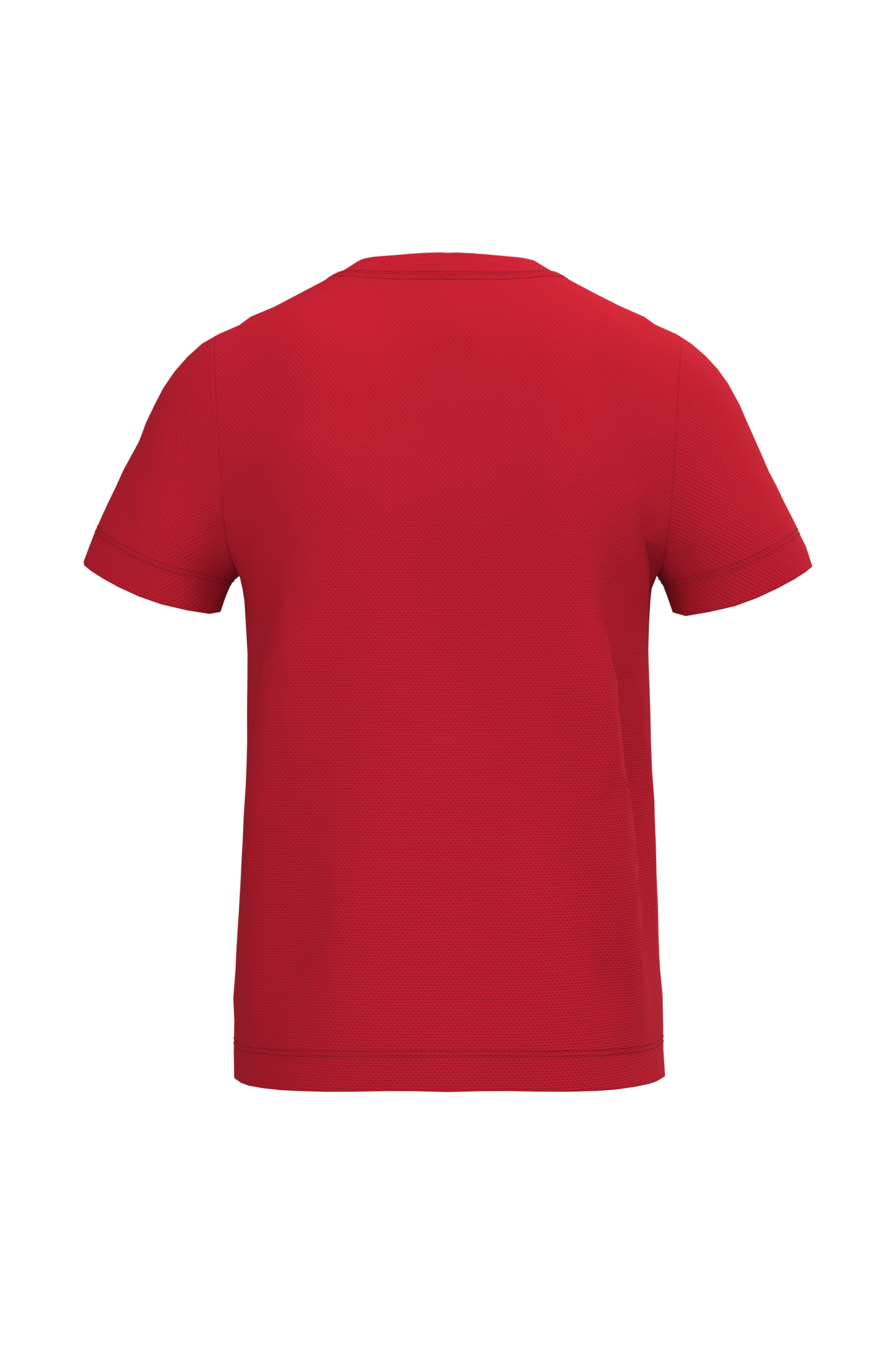 GDTXIB302 Ideal Red BACK