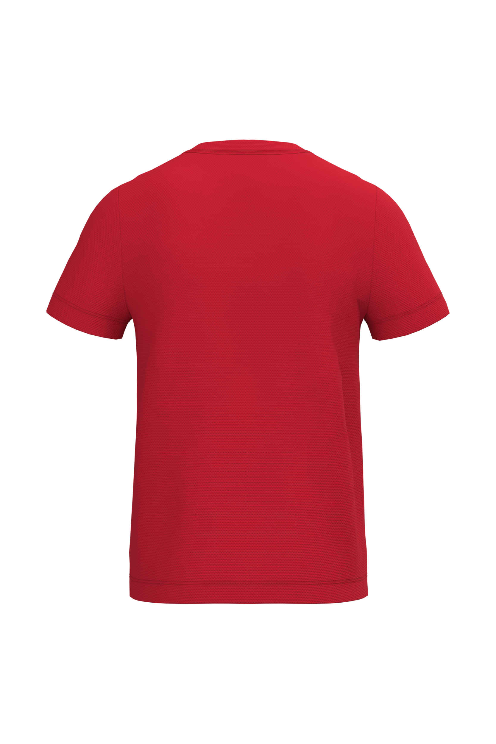 GDTXIB302 Ideal Red BACK