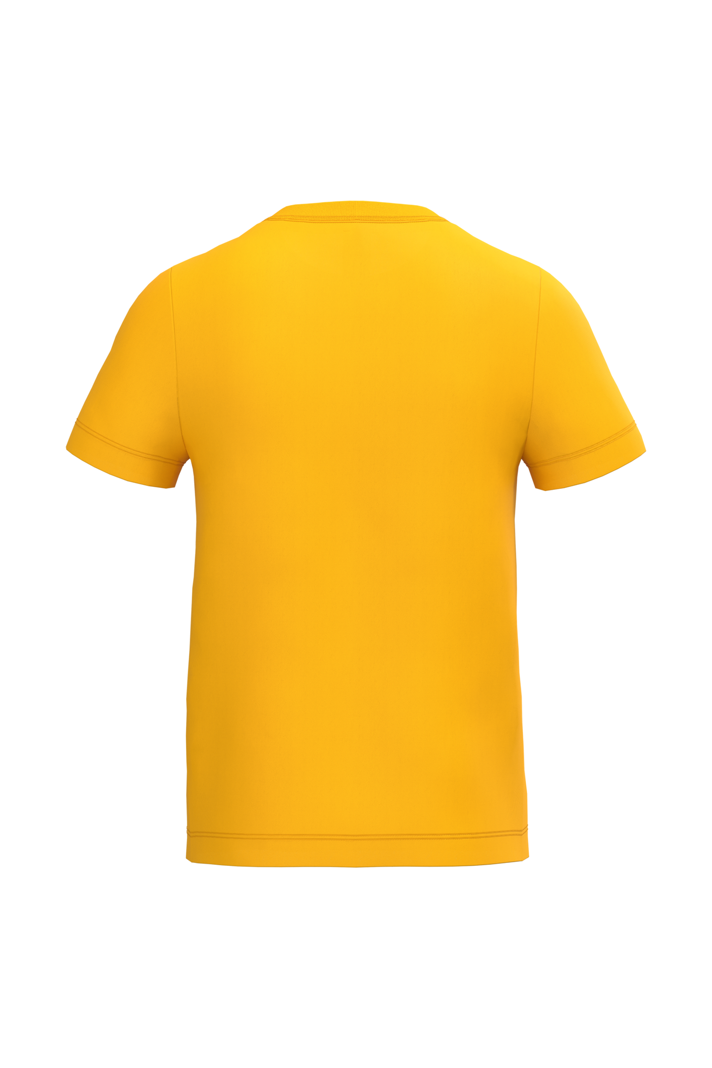 GDTXIB312 Ideal Gold BACK