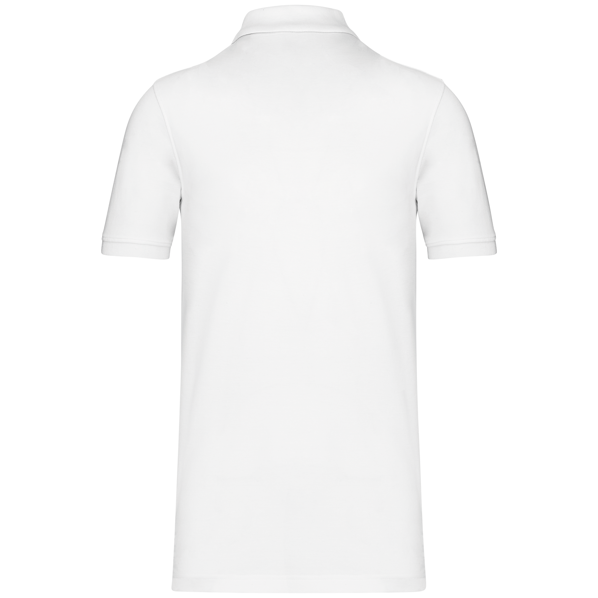 GDTXK2025 White BACK