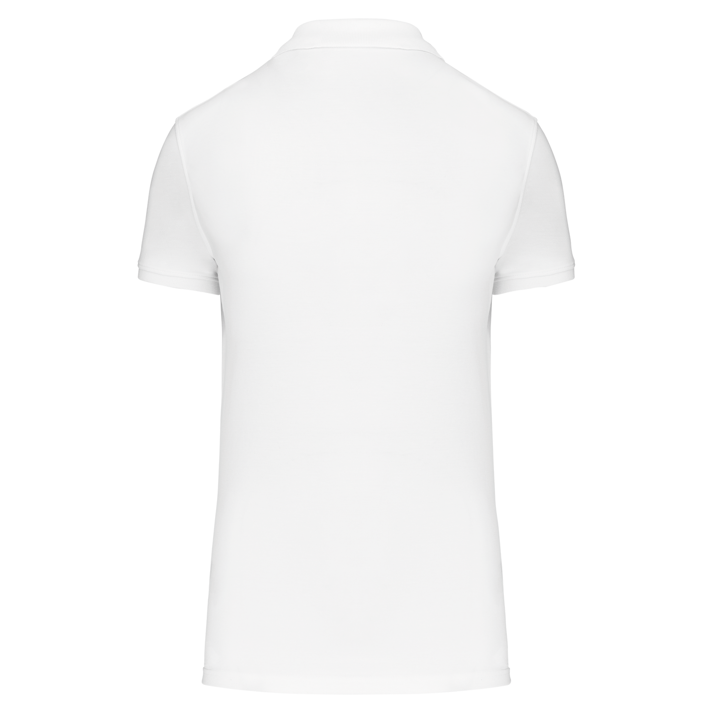 GDTXK2026 White BACK