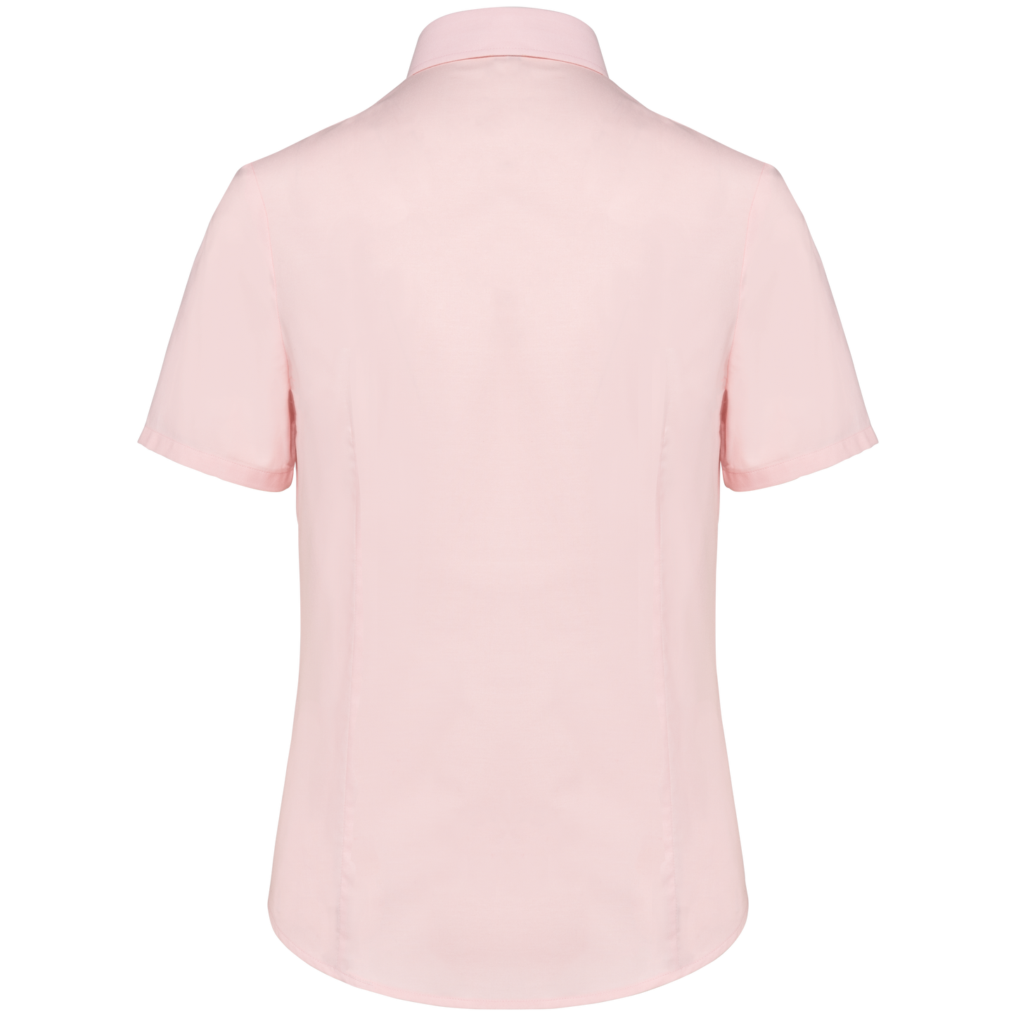 GDTXK536 Oxford Pale Pink BACK