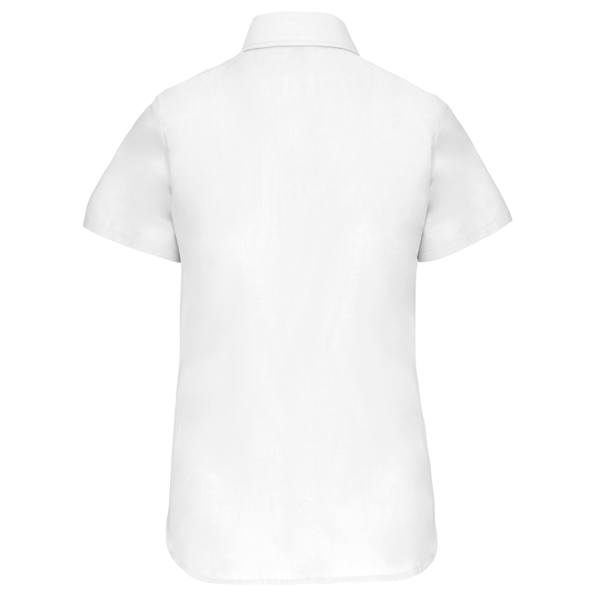 GDTXK536 White BACK