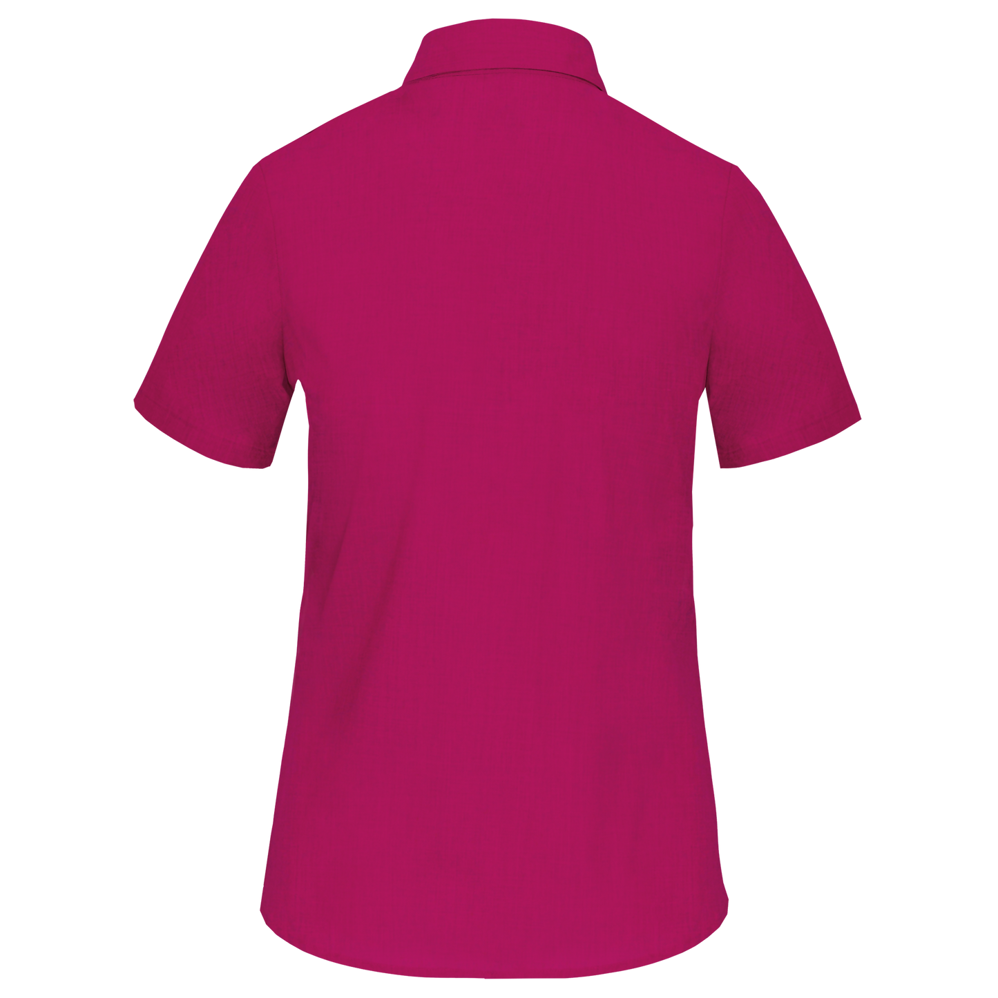 GDTXK548 Fuchsia BACK