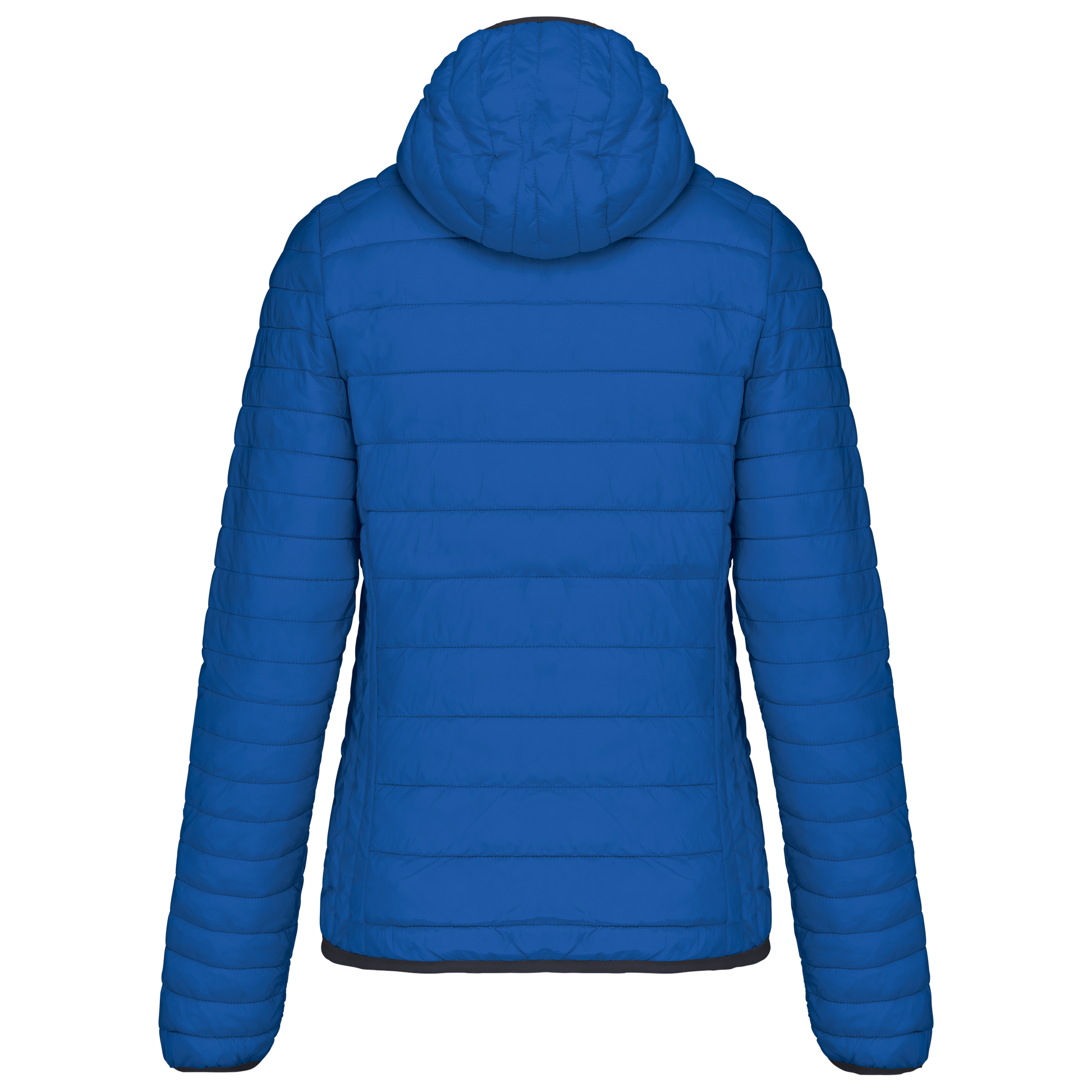 GDTXK6111 Light Royal Blue BACK