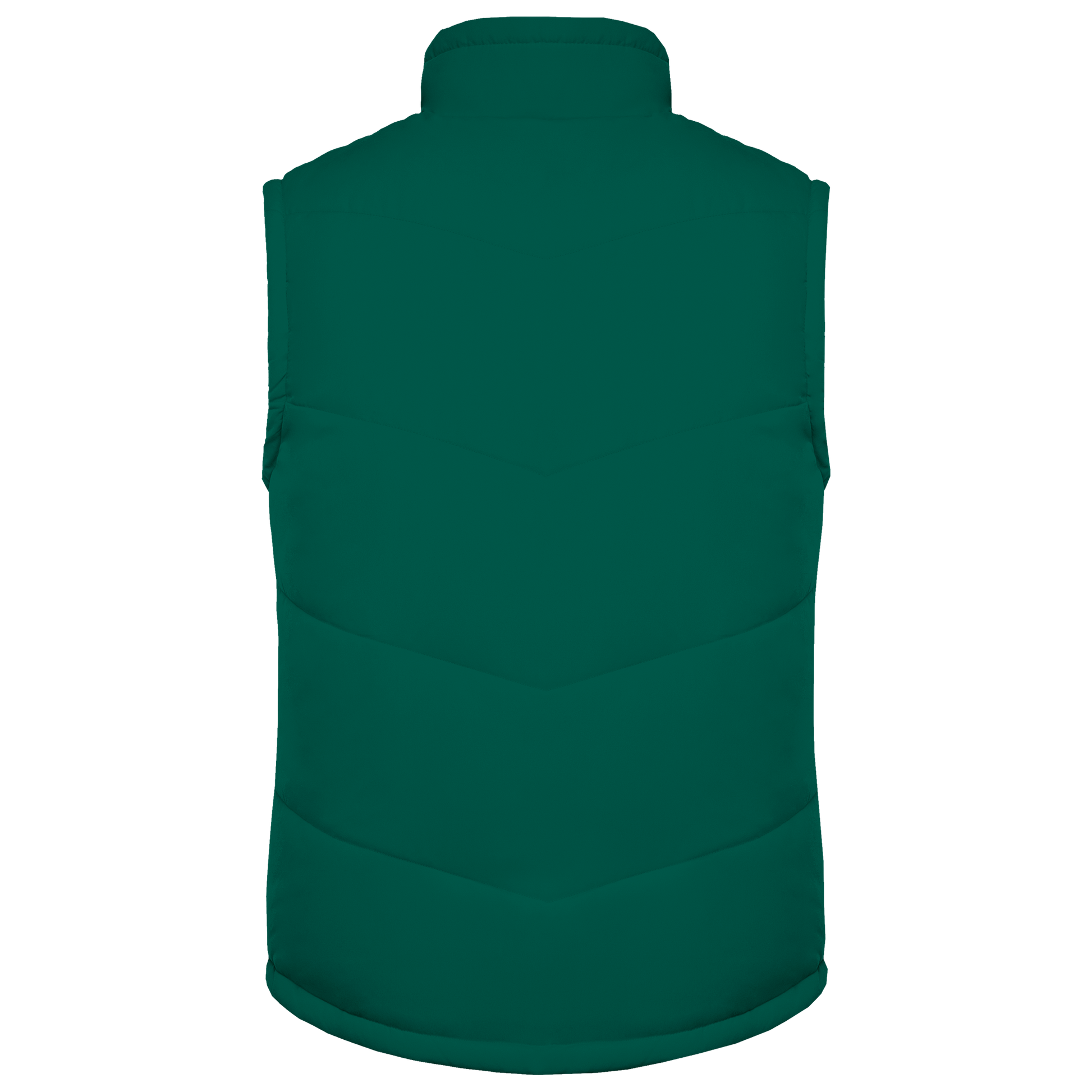 GDTXK6118 Dark green BACK