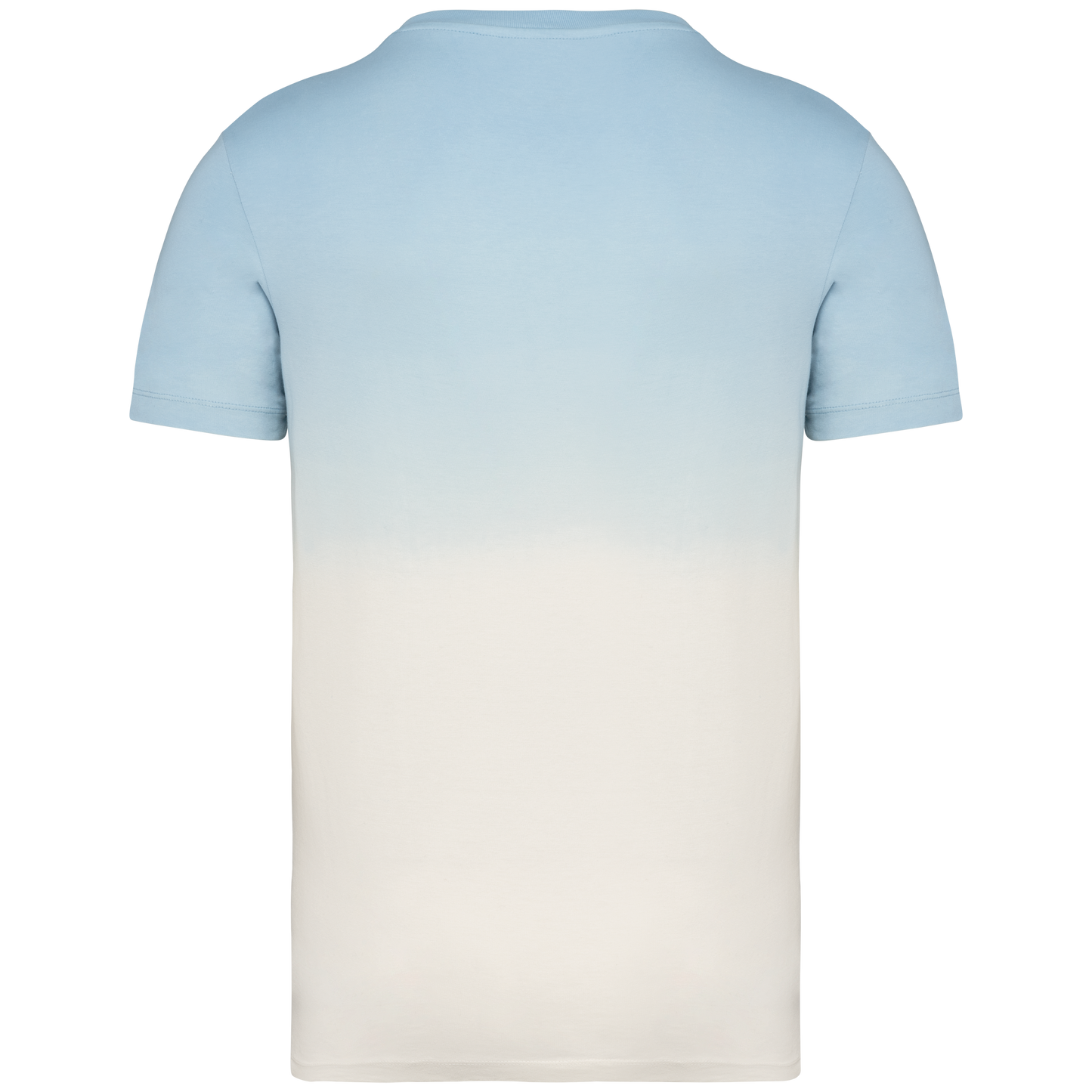 GDTXNS345 Dip Dye Aquamarine BACK