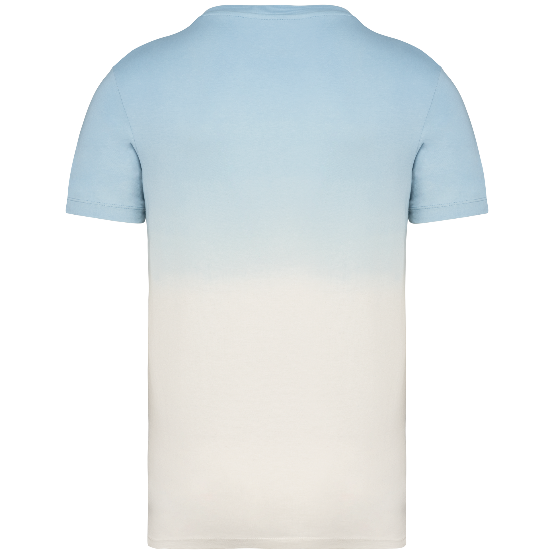 GDTXNS345 Dip Dye Aquamarine BACK