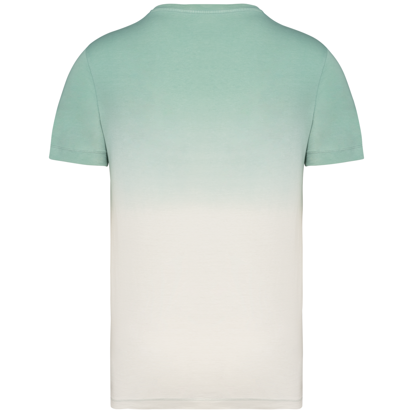 GDTXNS345 Dip Dye Jade Green BACK