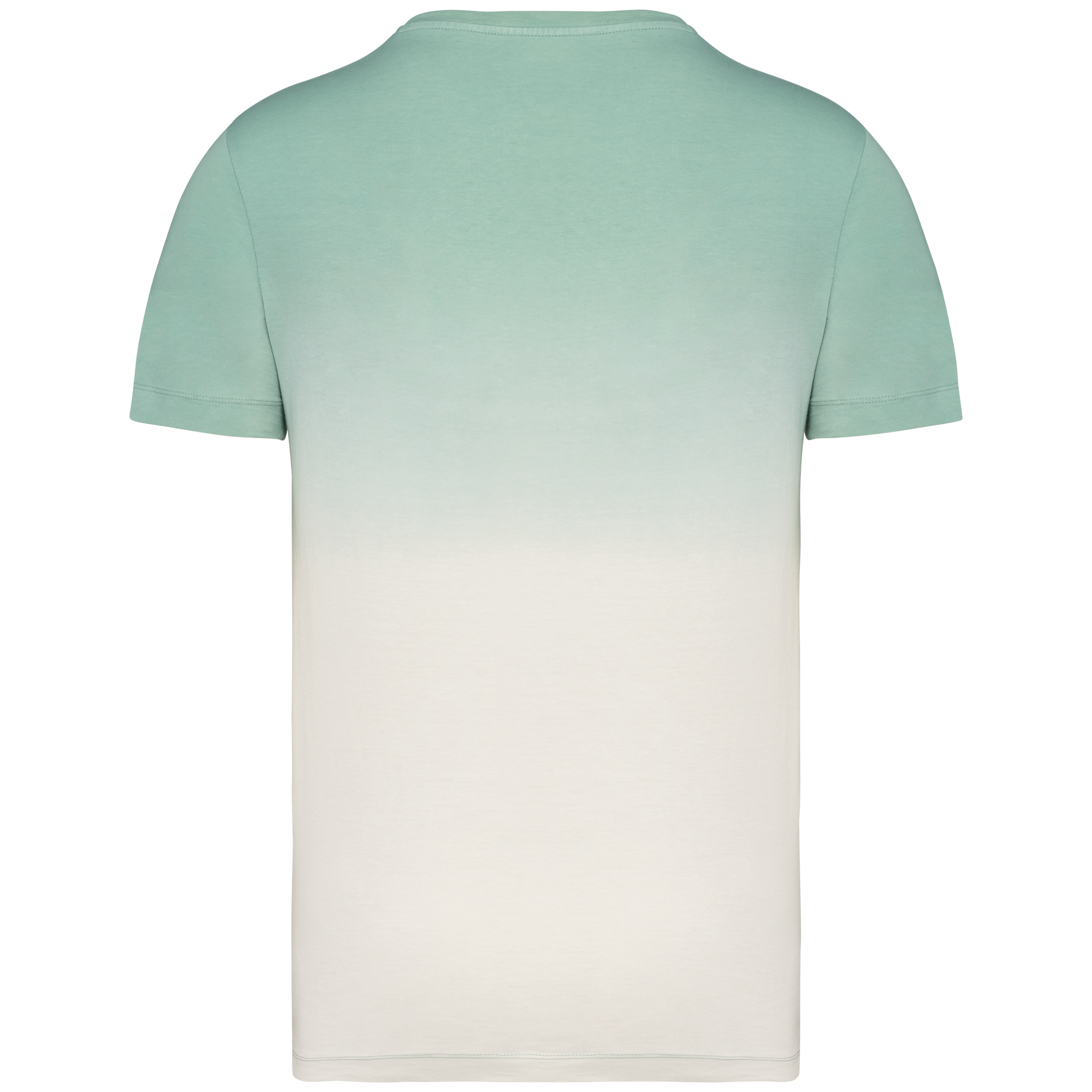 GDTXNS345 Dip Dye Jade Green BACK