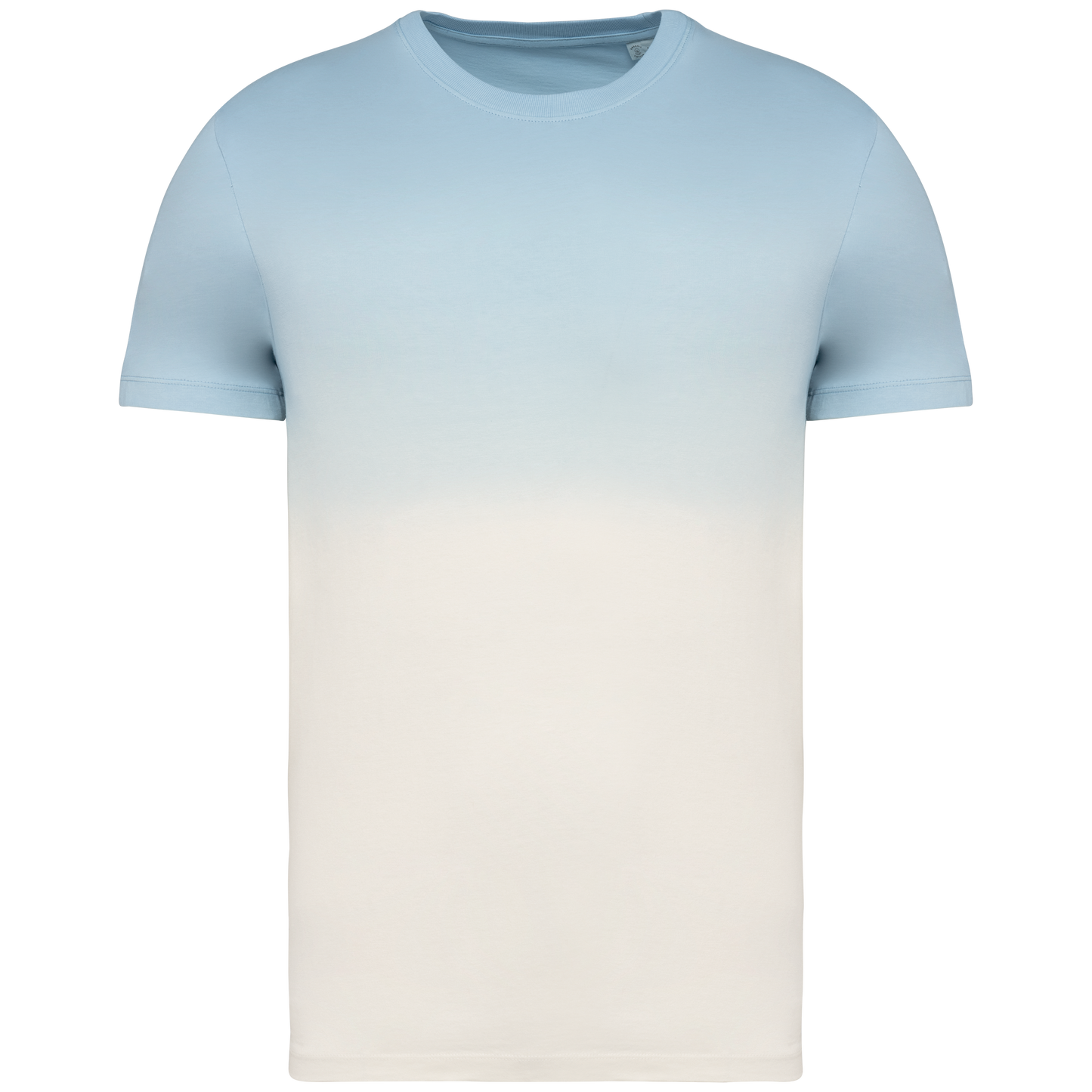 GDTXNS345 Dip Dye Aquamarine FACE