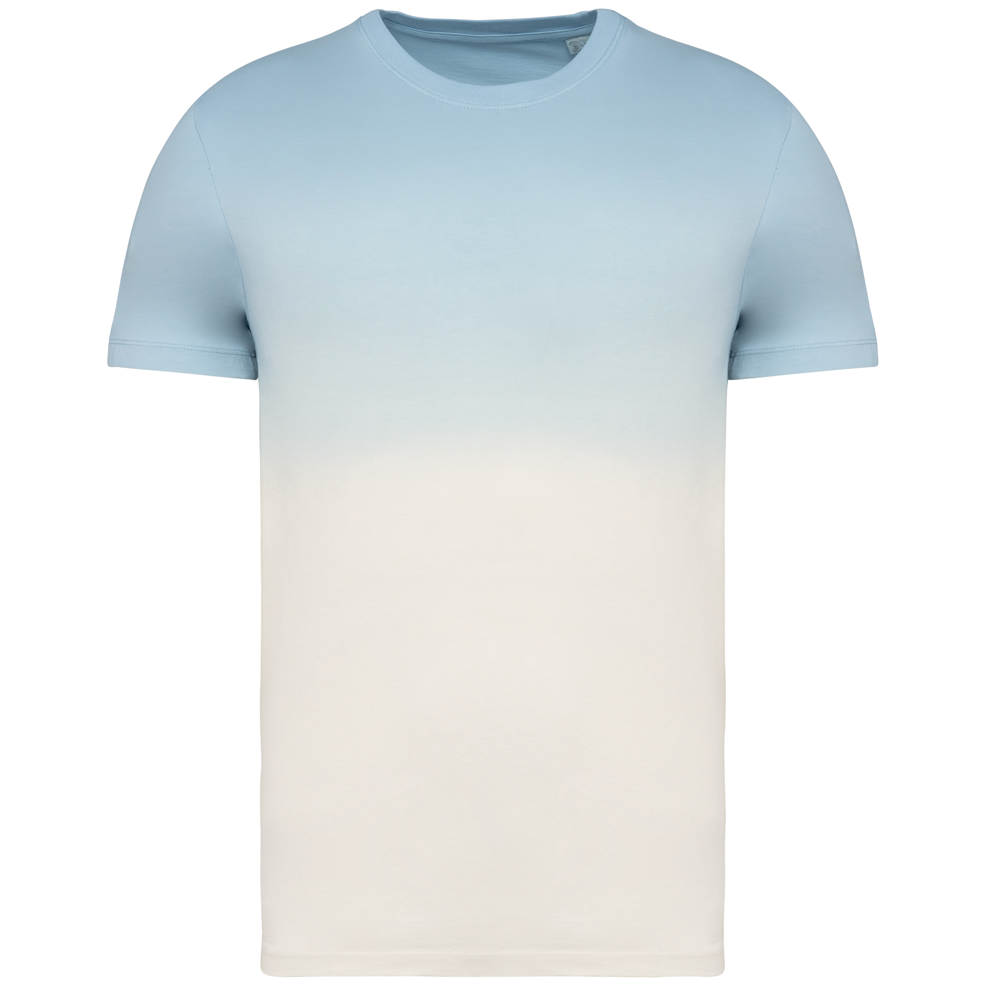 GDTXNS345 Dip Dye Aquamarine FACE