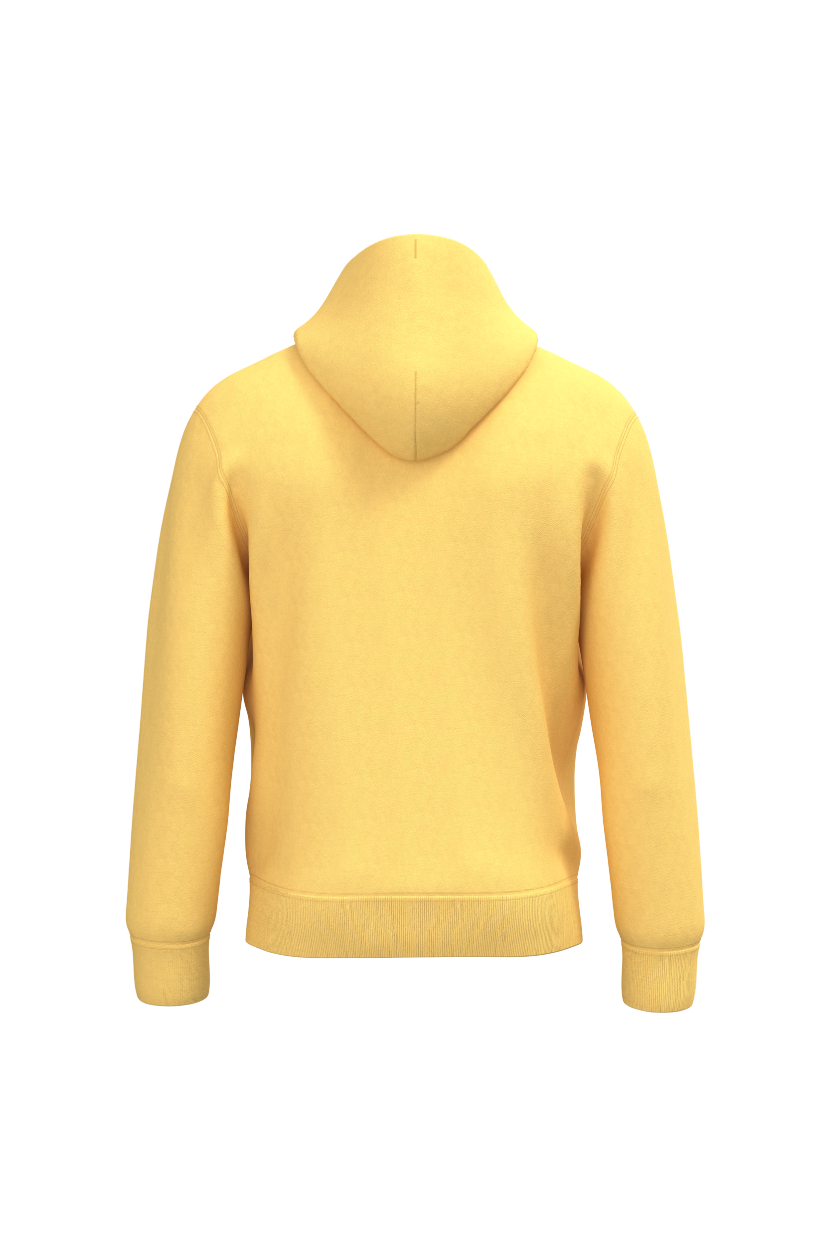 GDTXNS401 Pineapple BACK
