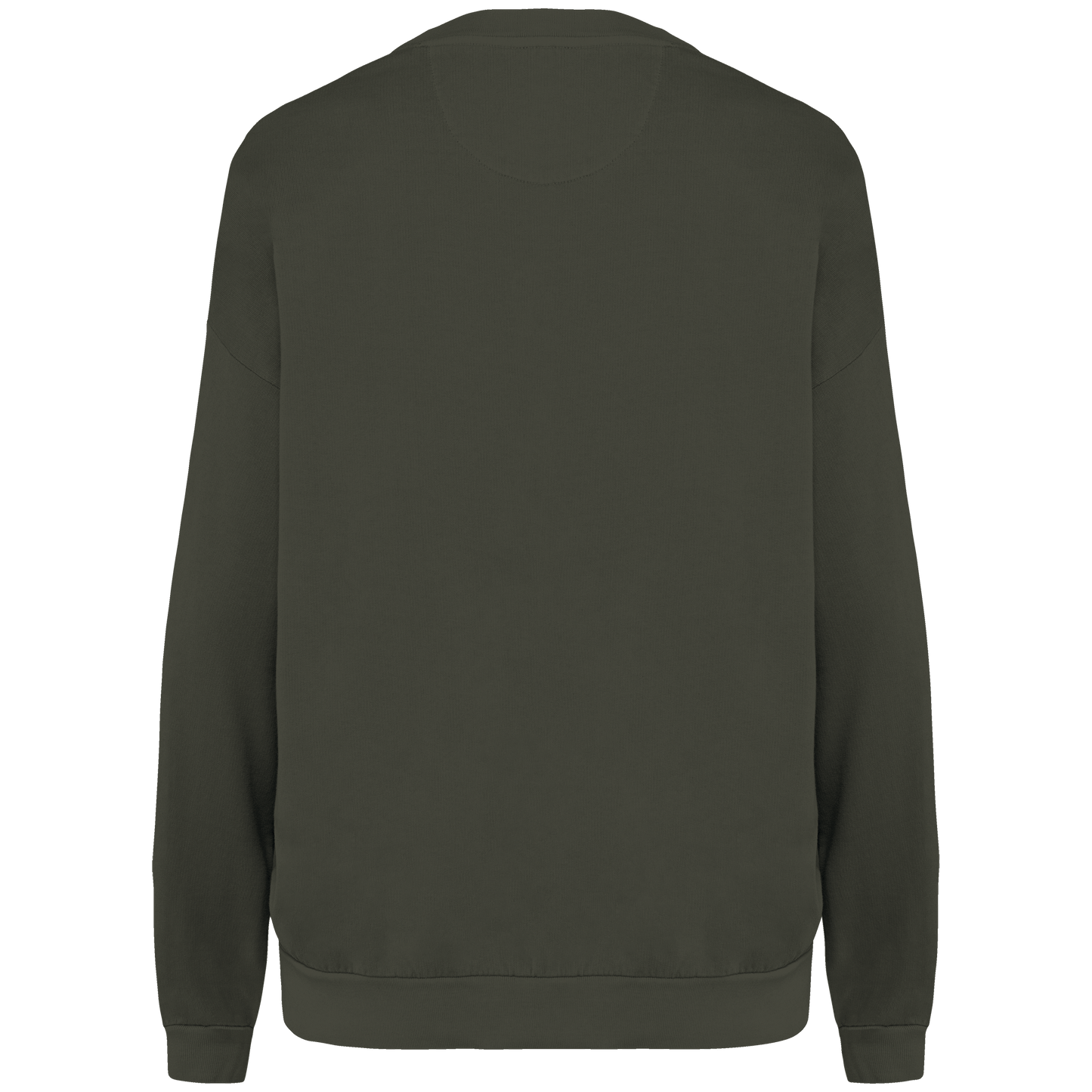 GDTXNS415 Washed Organic Khaki BACK