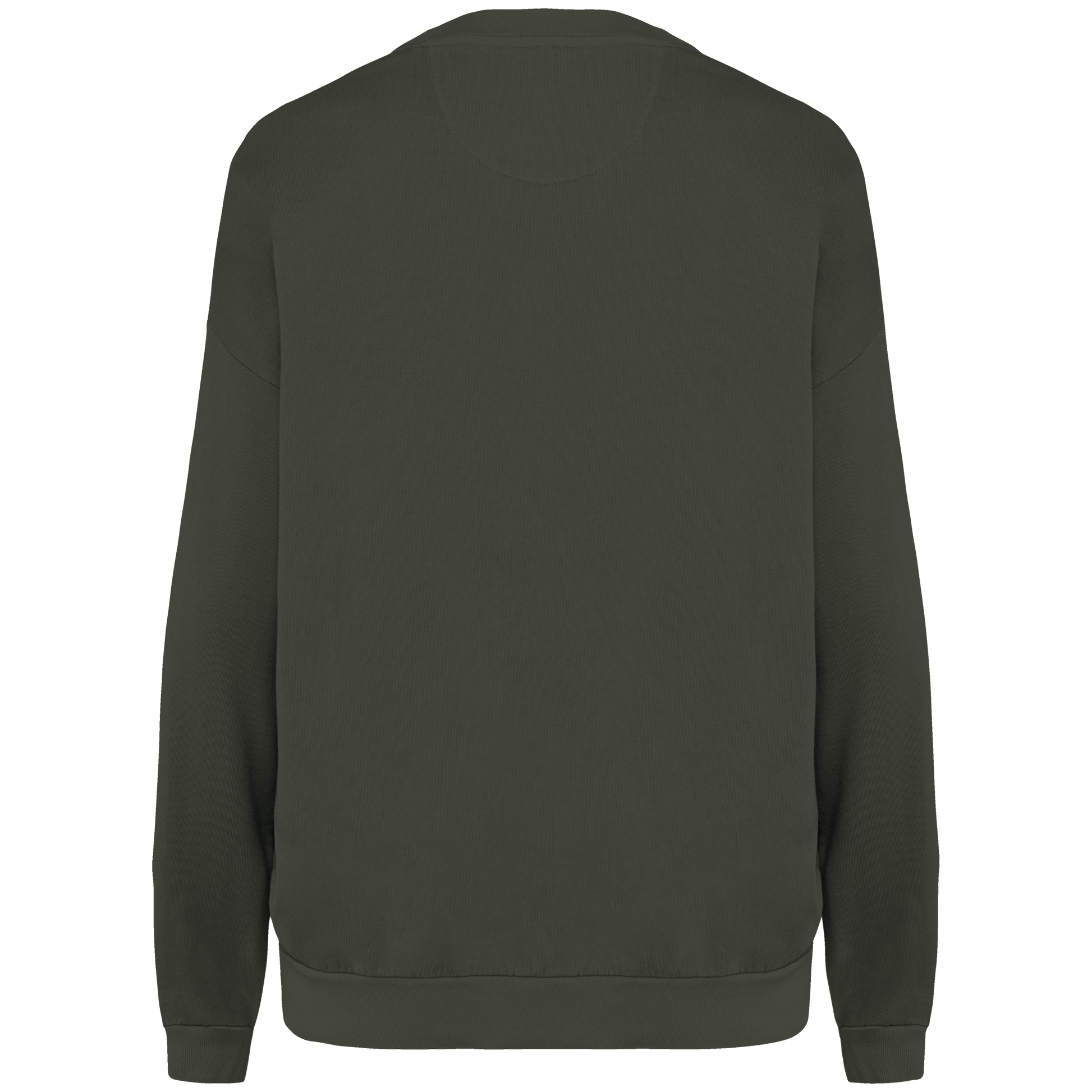 GDTXNS415 Washed Organic Khaki BACK