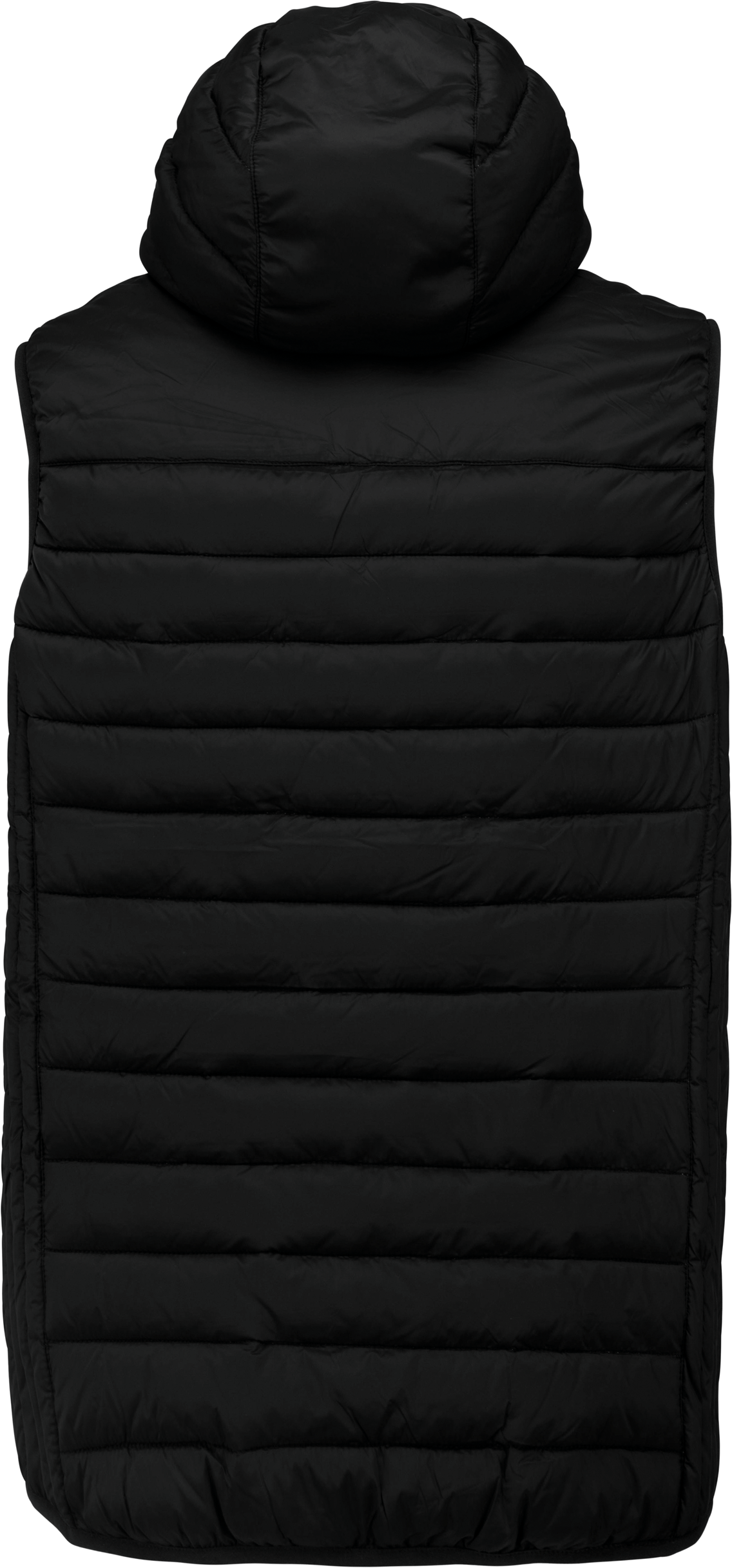 GDTXPA237 Black BACK