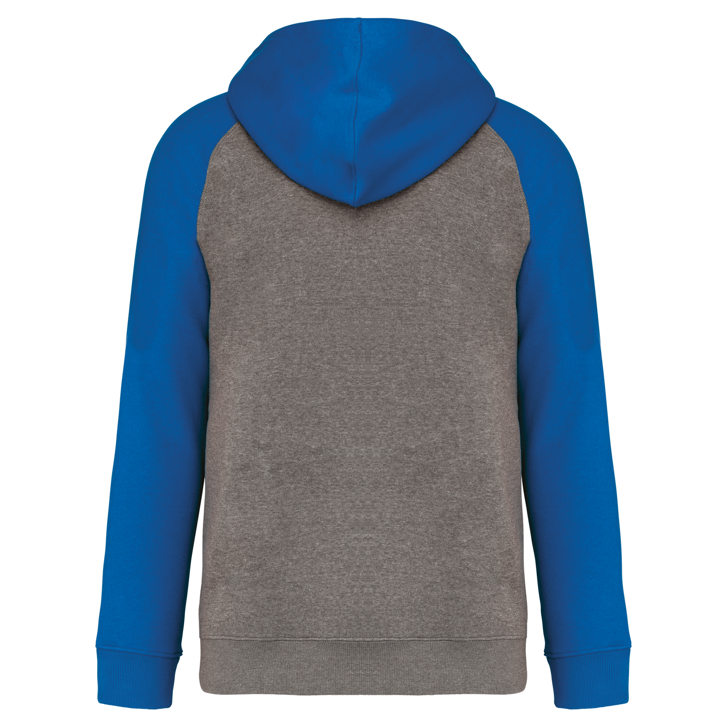 GDTXPA370 Grey heather/Sporty royal blue BACK
