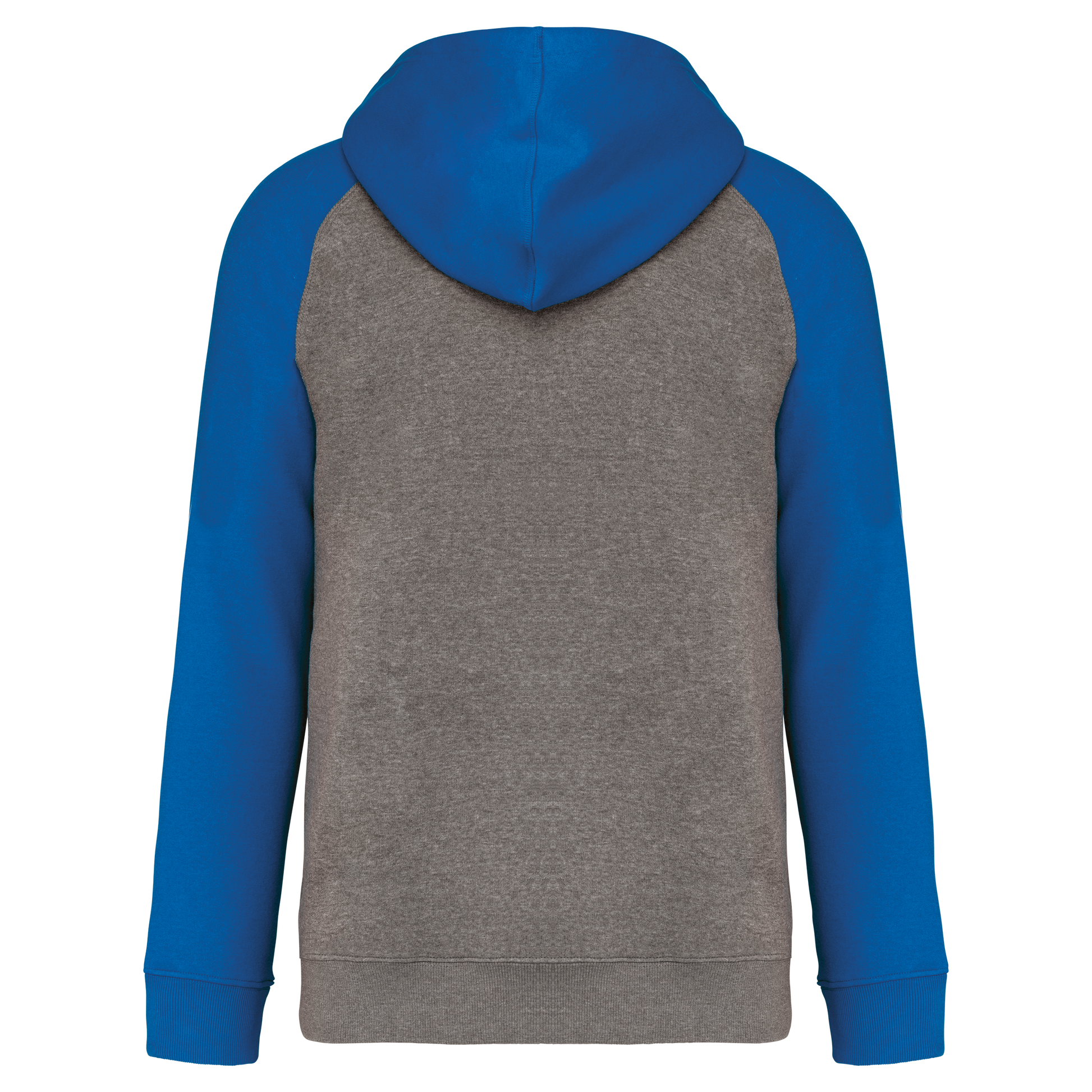 GDTXPA370 Grey heather/Sporty royal blue BACK