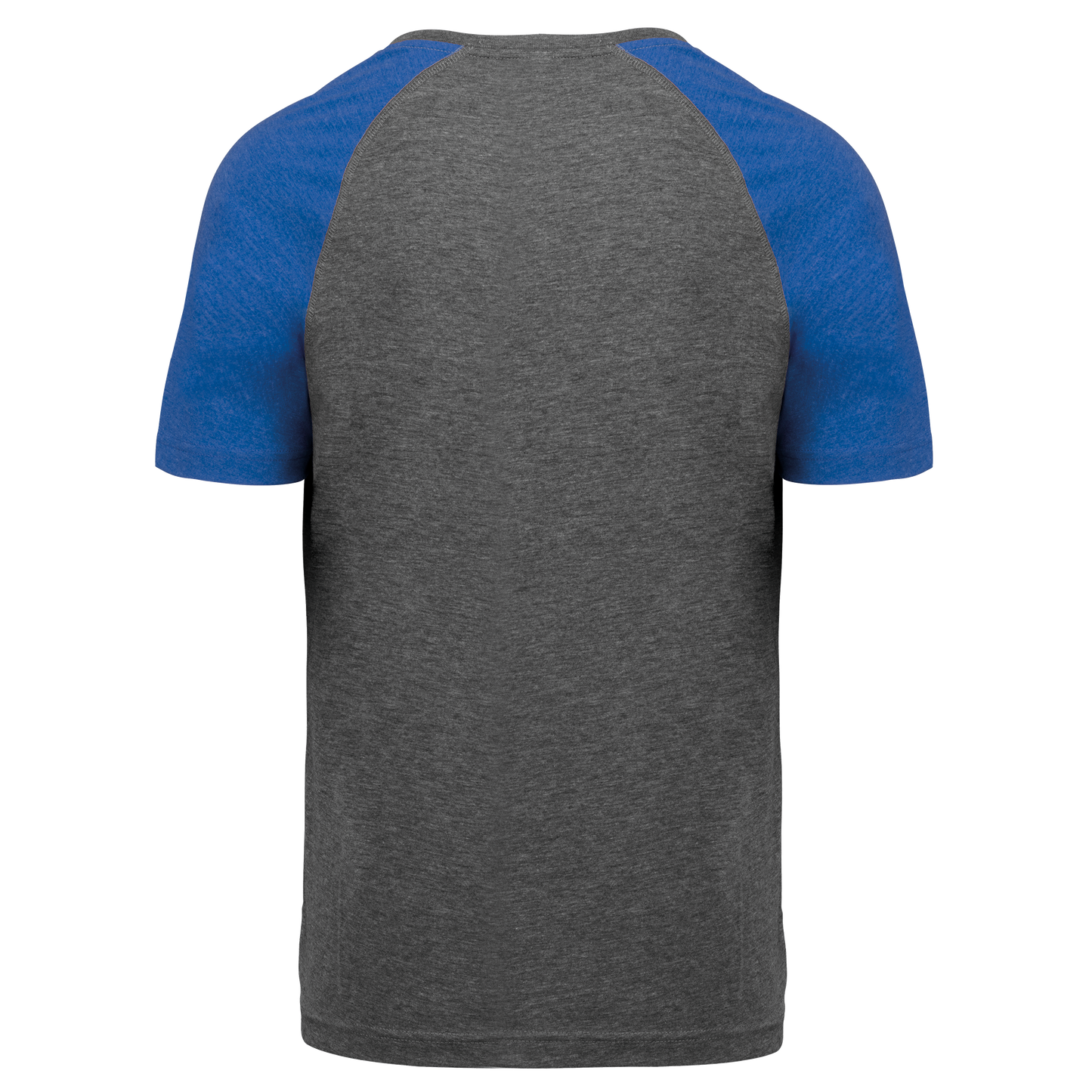 GDTXPA4010 Grey Heather / Sporty Royal Blue Heather BACK