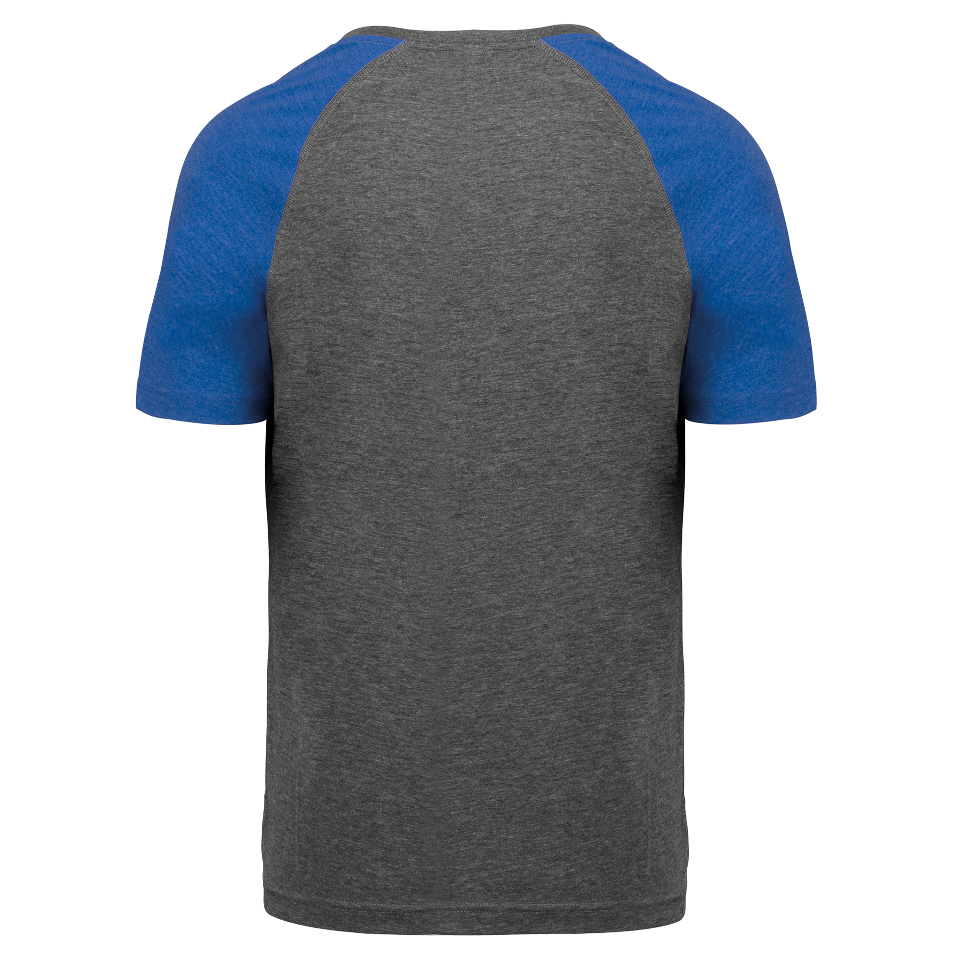 GDTXPA4010 Grey Heather / Sporty Royal Blue Heather BACK