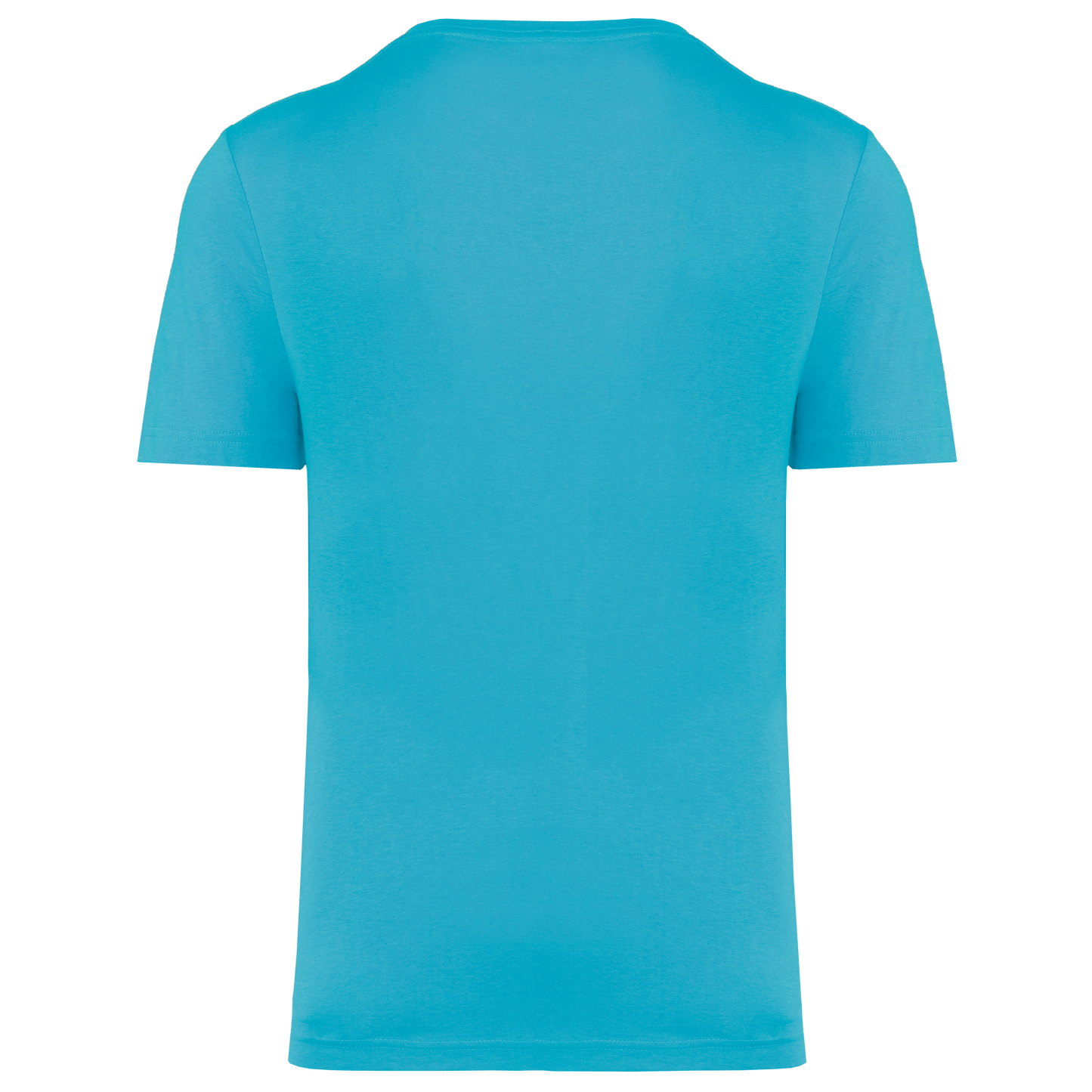 GDTXPA4011 Light Turquoise BACK