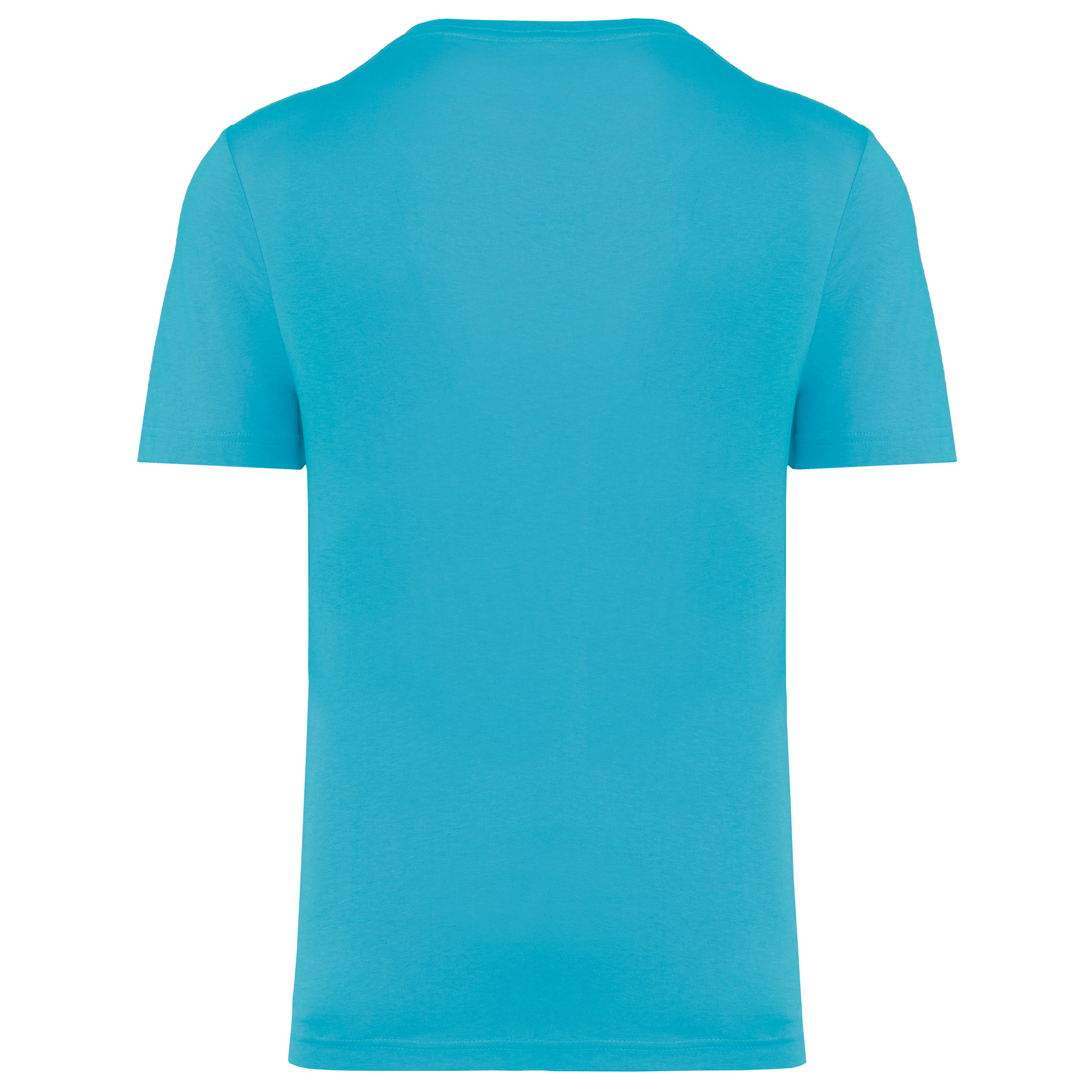 GDTXPA4011 Light Turquoise BACK
