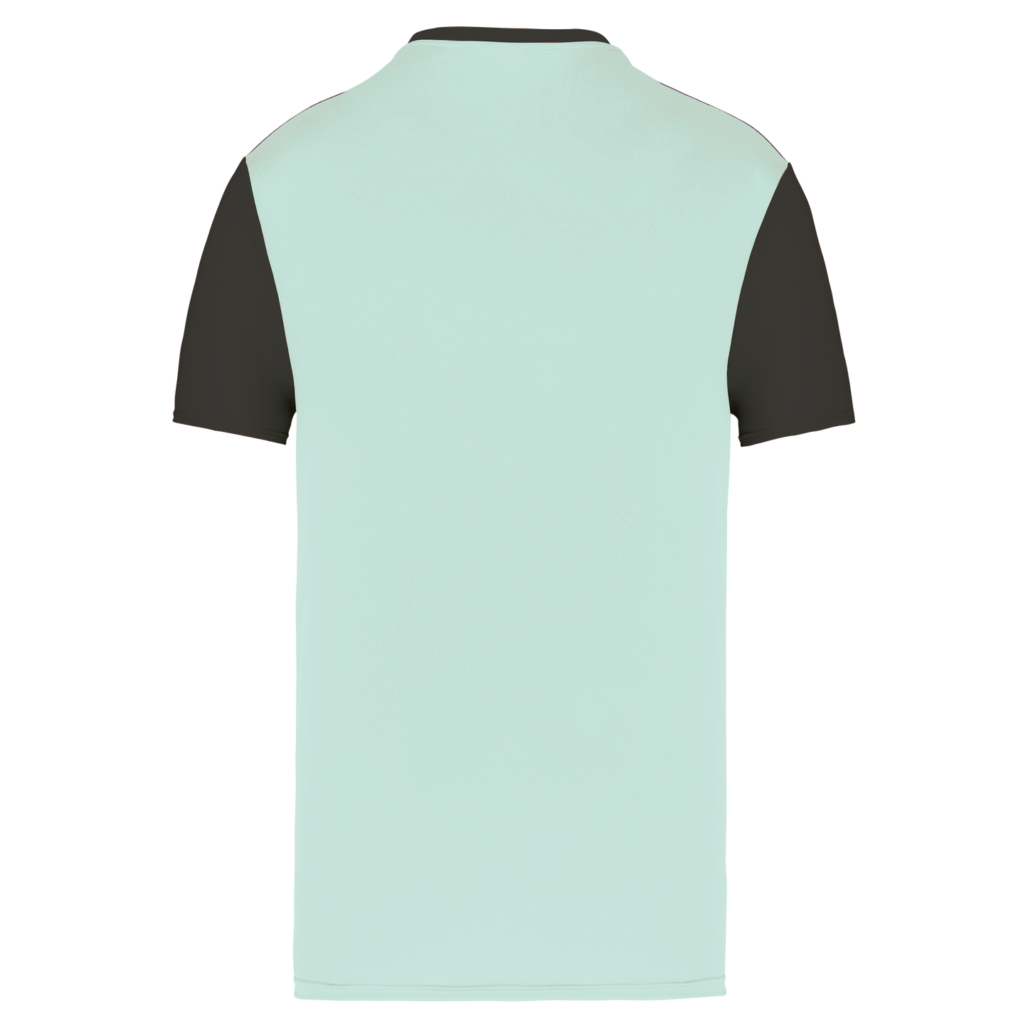 GDTXPA4023 Ice Mint / Dark Grey BACK