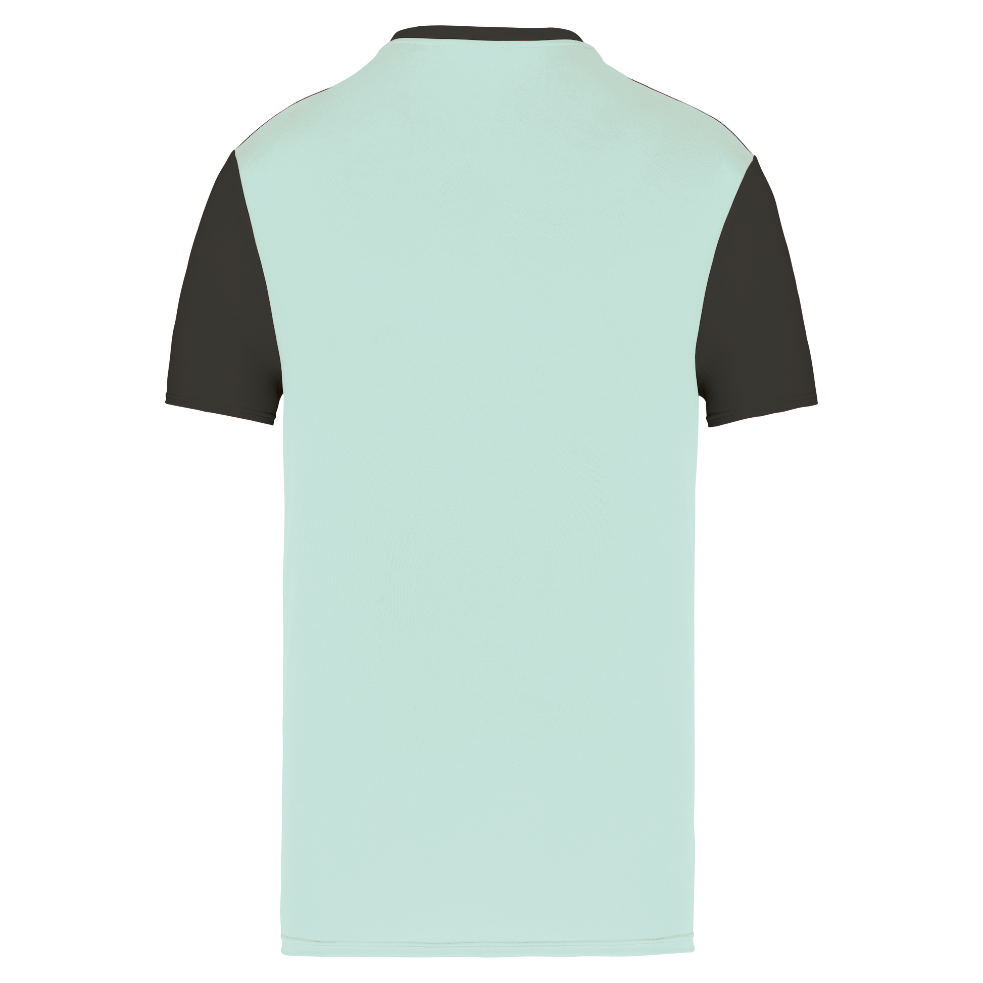 GDTXPA4023 Ice Mint / Dark Grey BACK