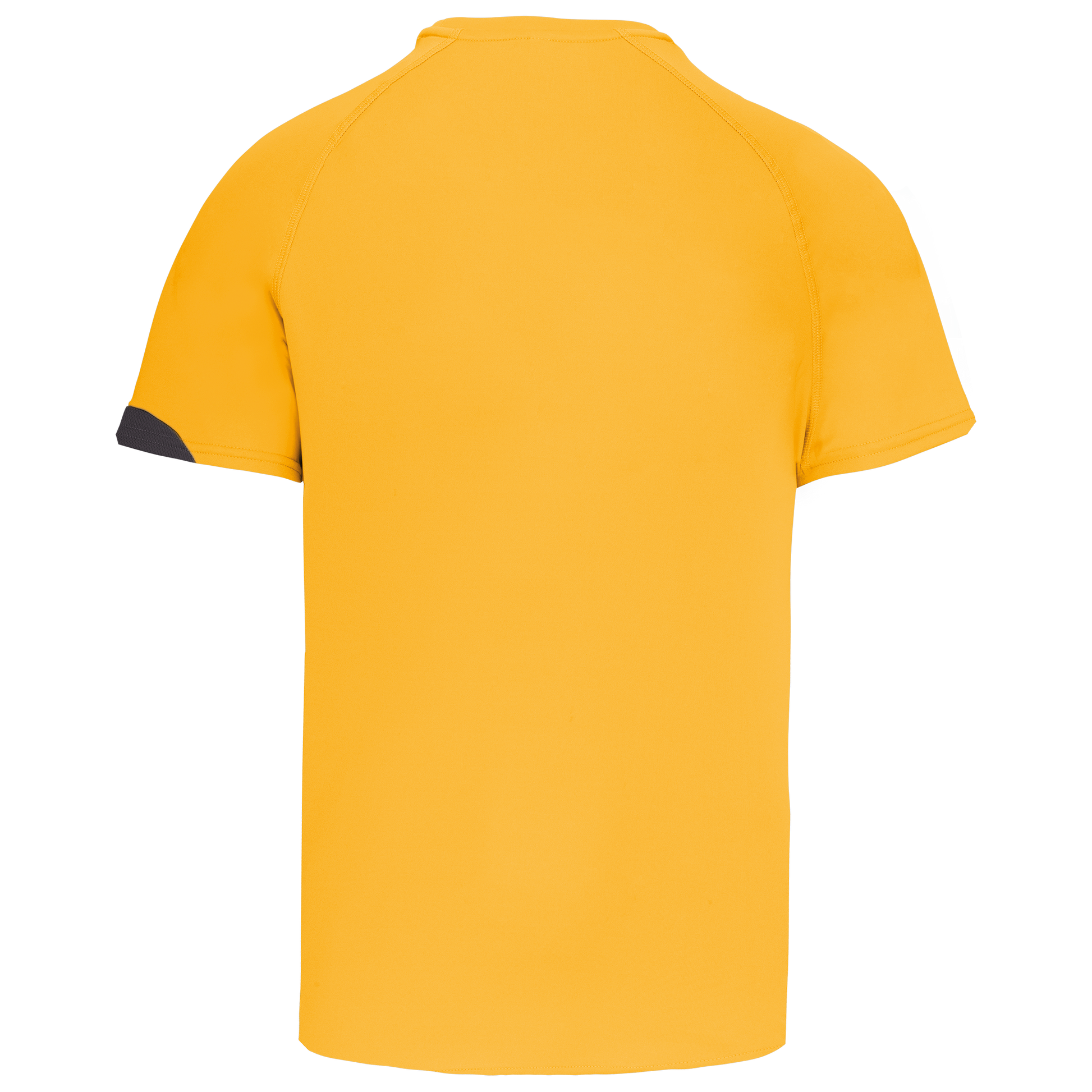 GDTXPA436 Sporty yellow/Black/Storm grey BACK