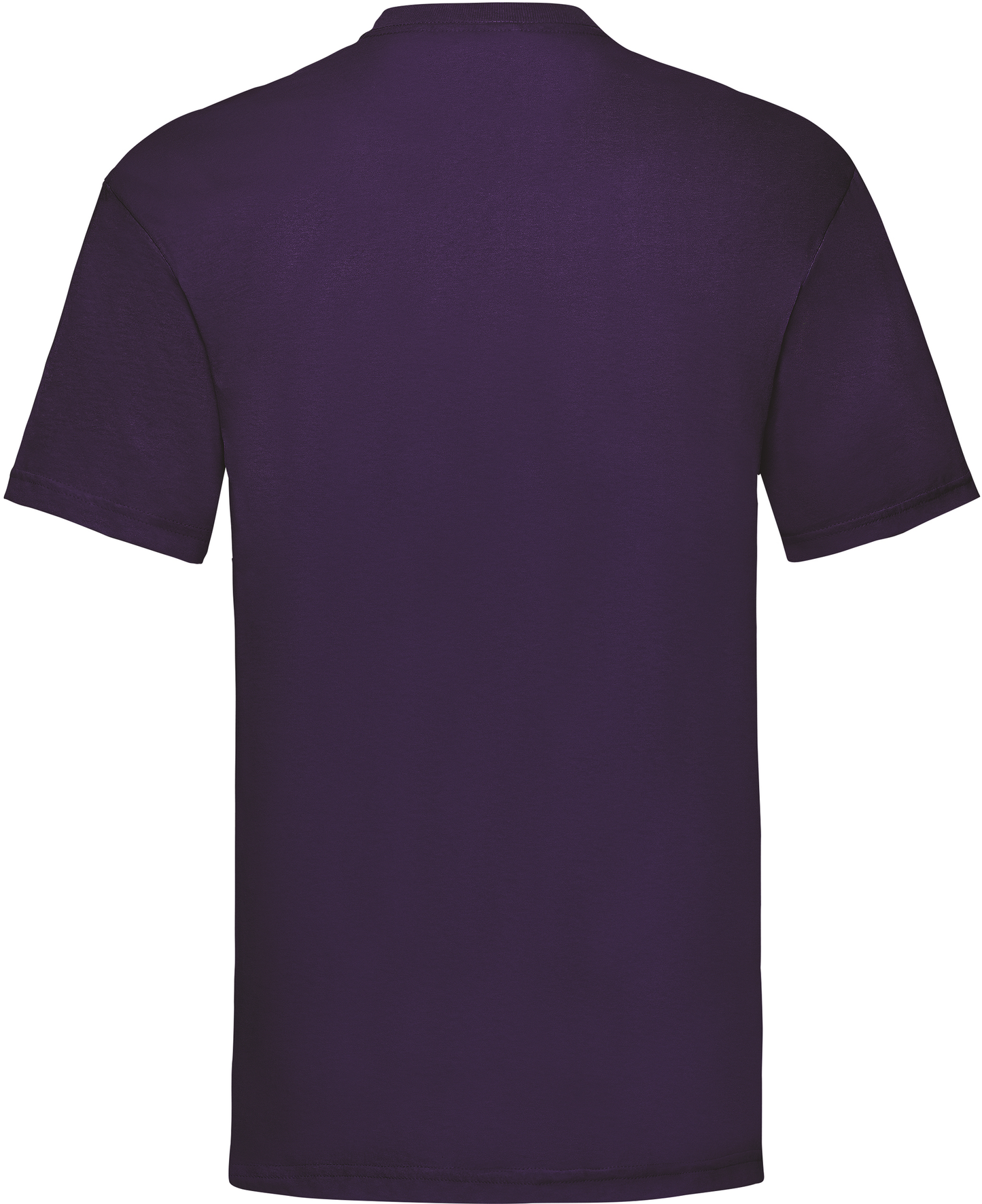 GDTXSC221 Purple BACK