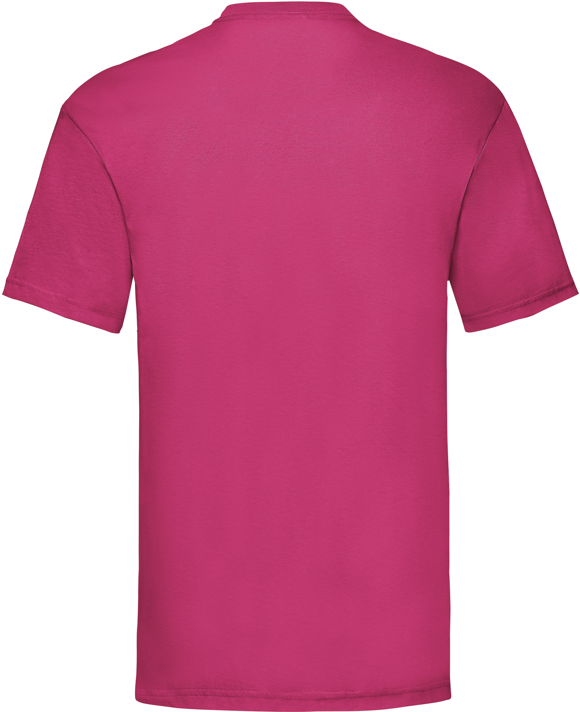 GDTXSC221 Fuchsia BACK
