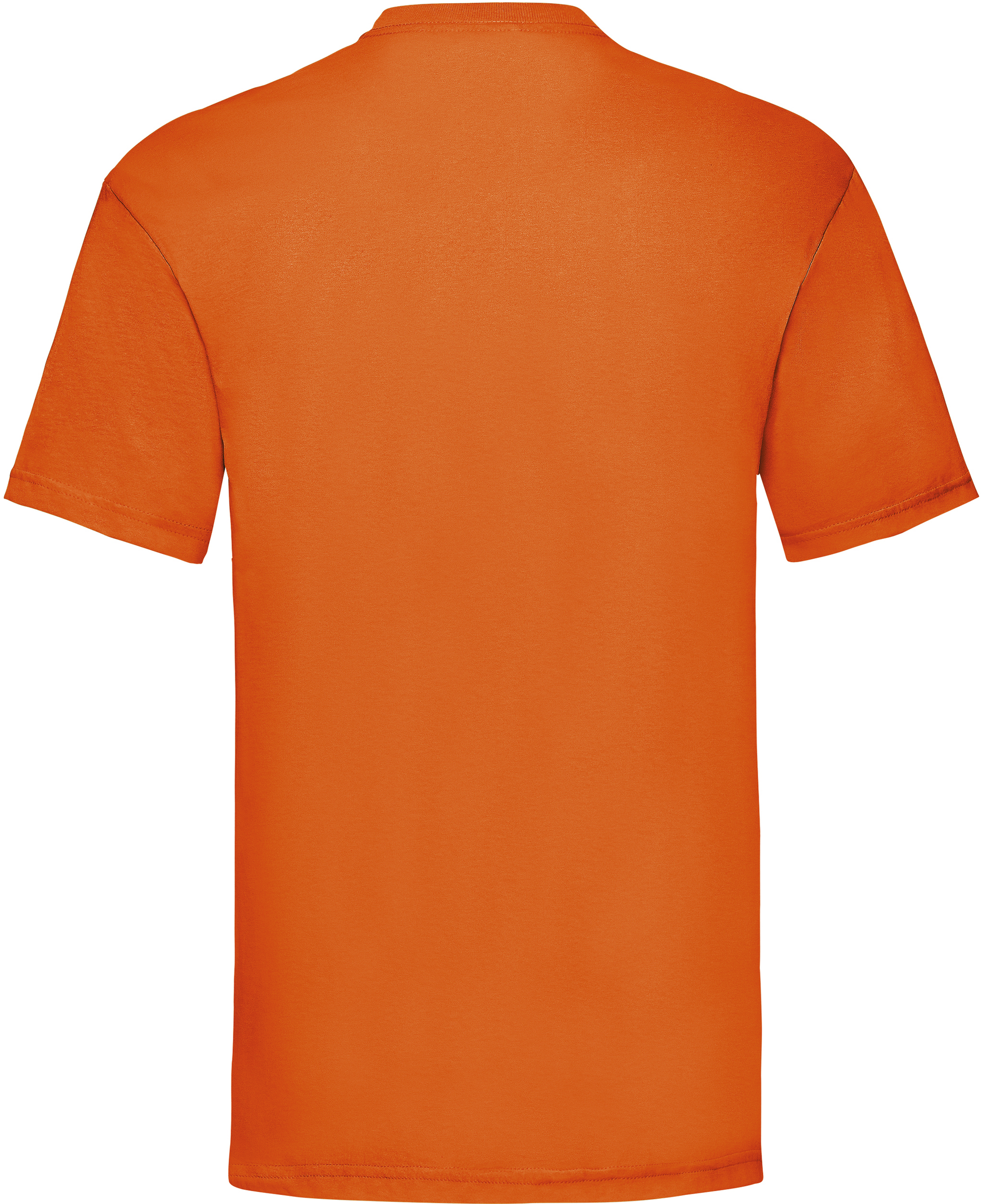 GDTXSC221 Orange BACK